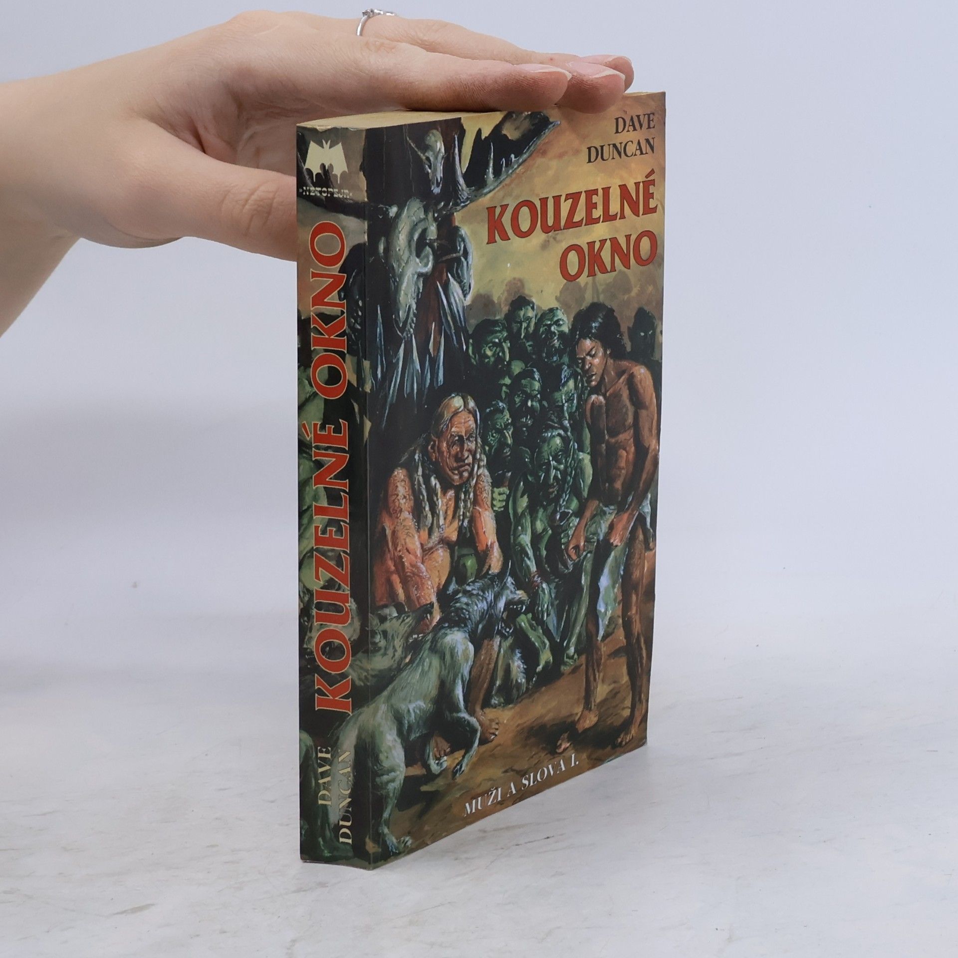 Dave Duncan Kouzelné okno. Muži a slova