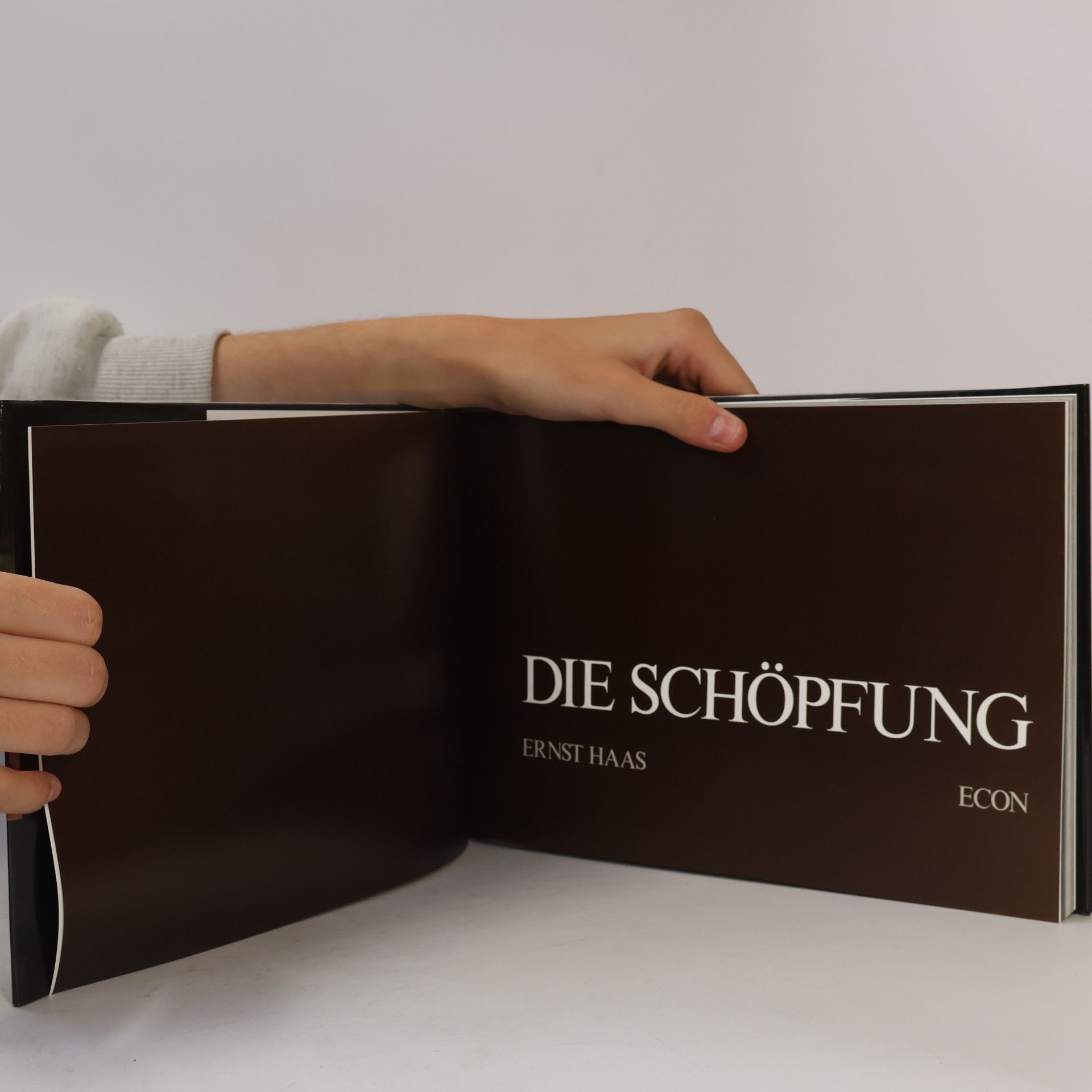 Ernst Haas Die Schöpfung