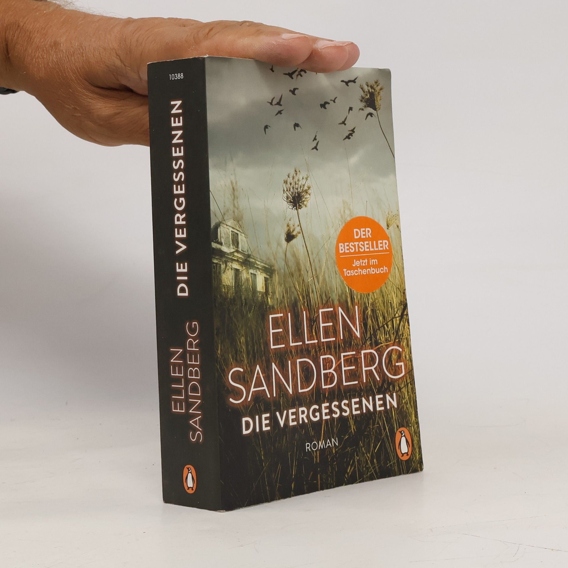Ellen Sandberg Die Vergessenen