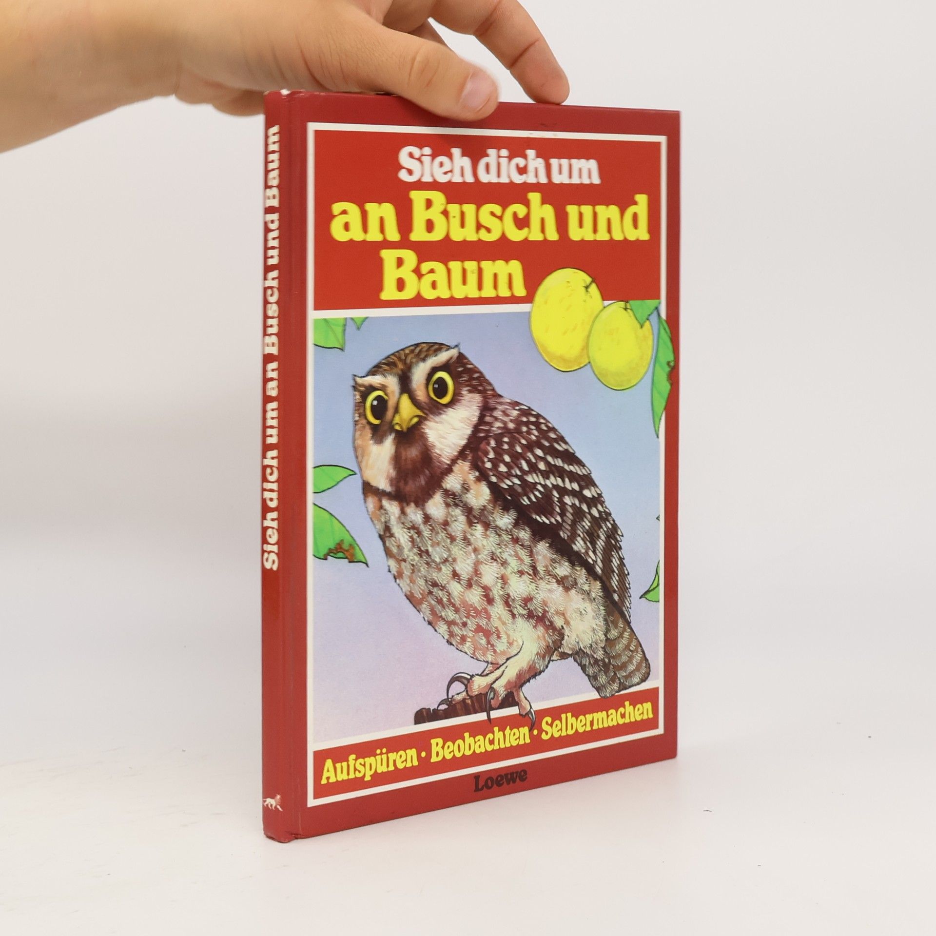 Michael Chinery Sieh dich um an Busch und Baum