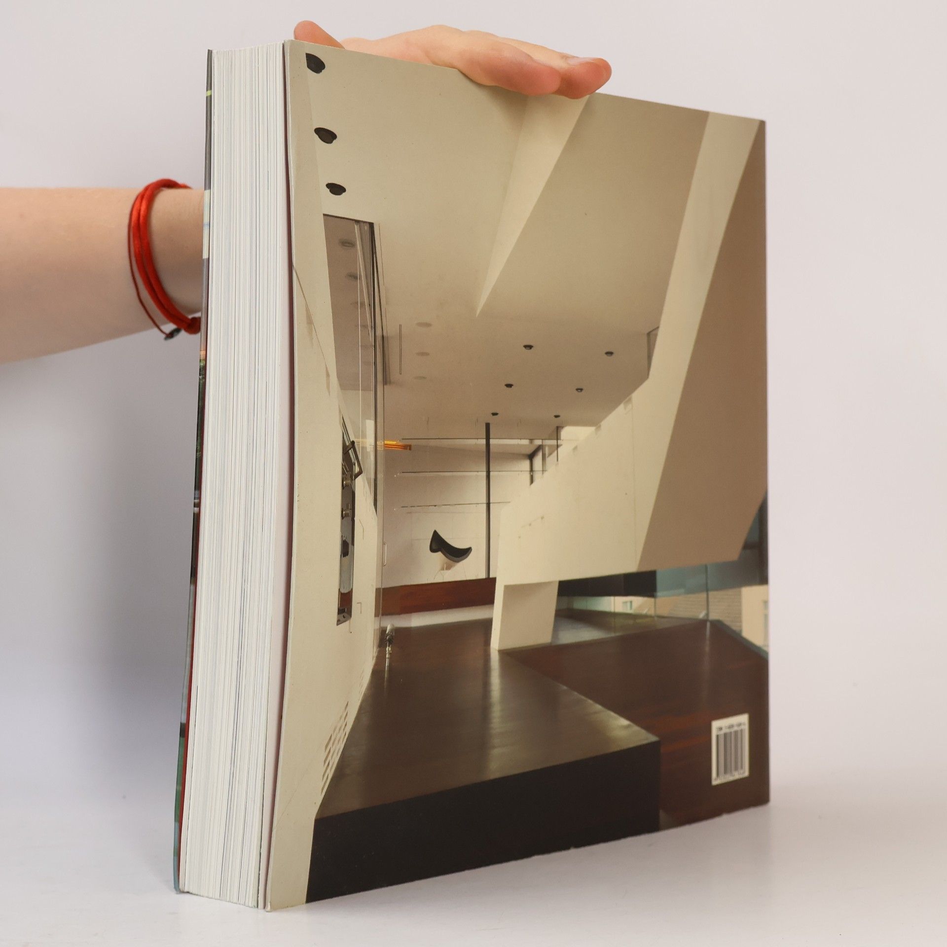 Simone Schleifer Dream apartments. Appartements de rêve. Traumwohnungen