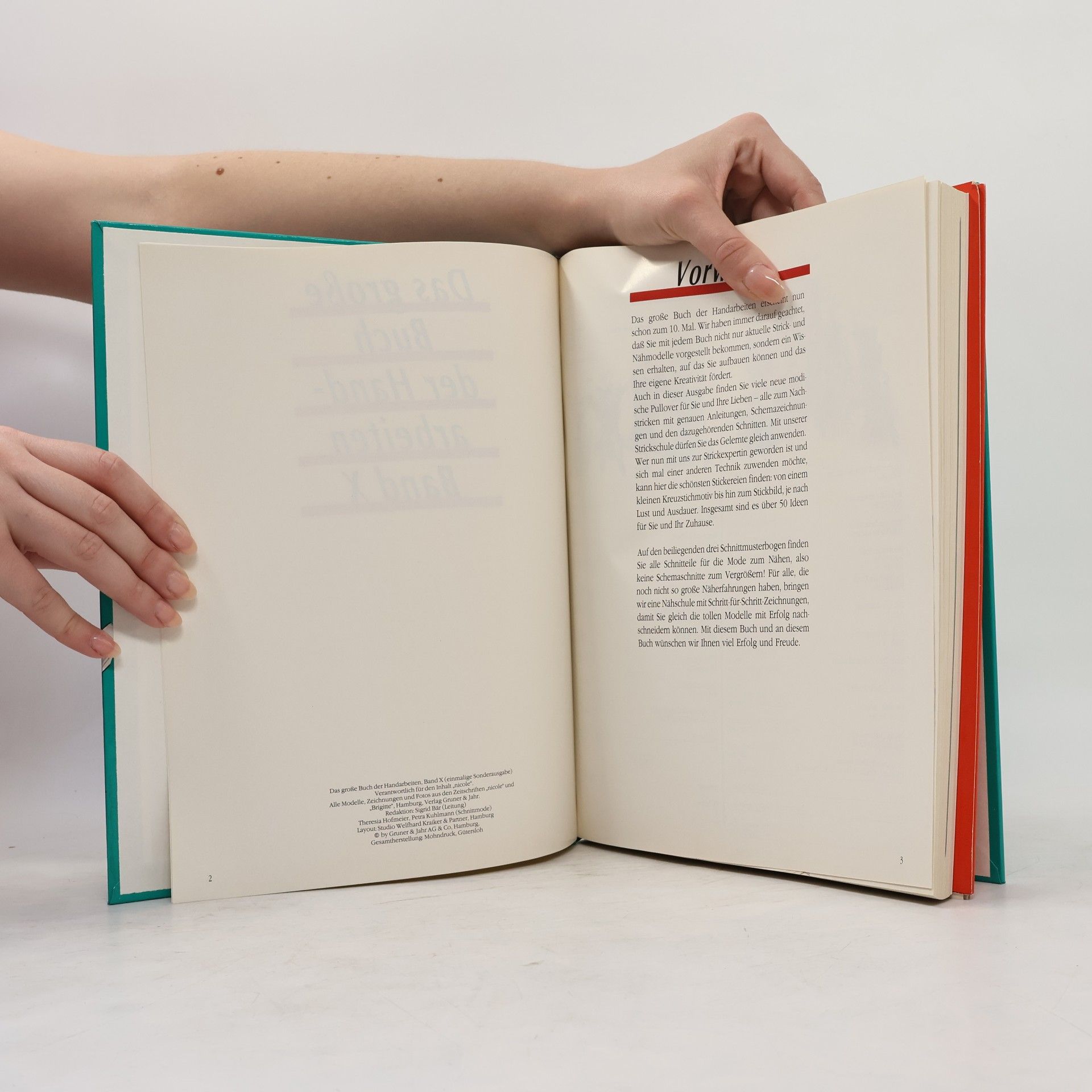 kolektiv Das grosse Buch der Handarbeiten X