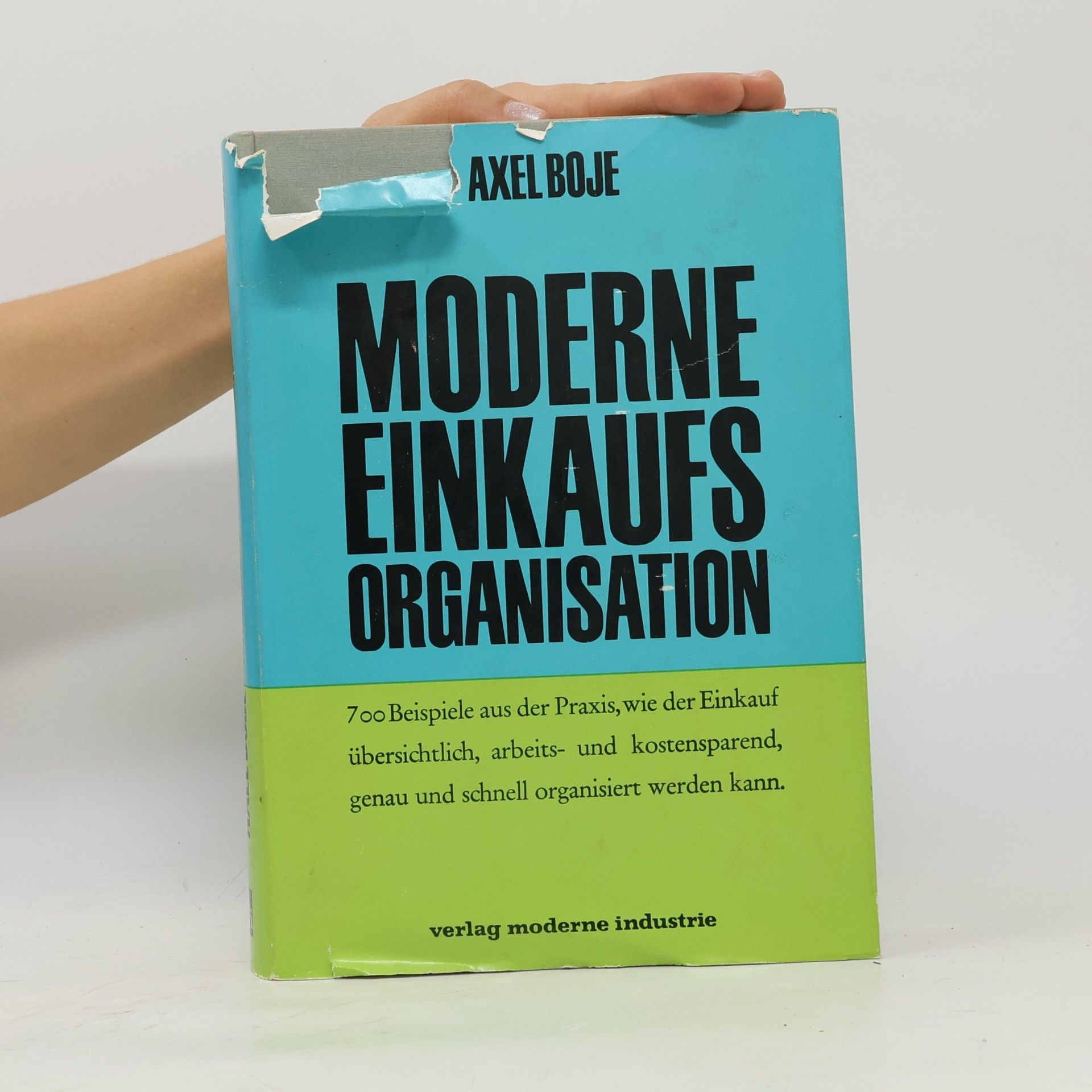 Axel Boje Moderne Einkaufsorganisation
