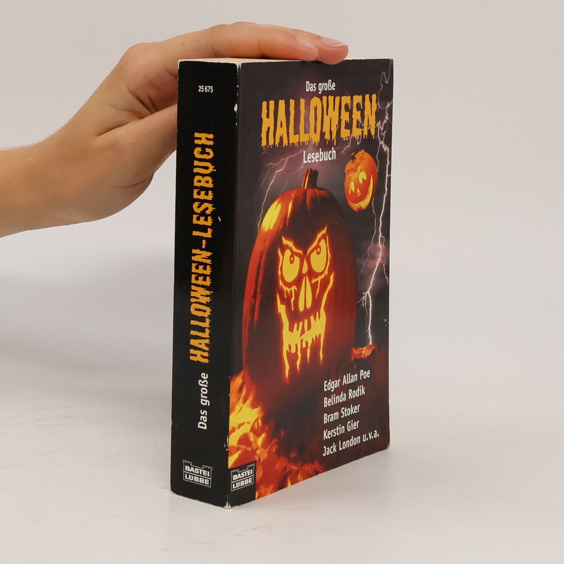 Belinda Rodik Das grosse Halloween-Lesebuch