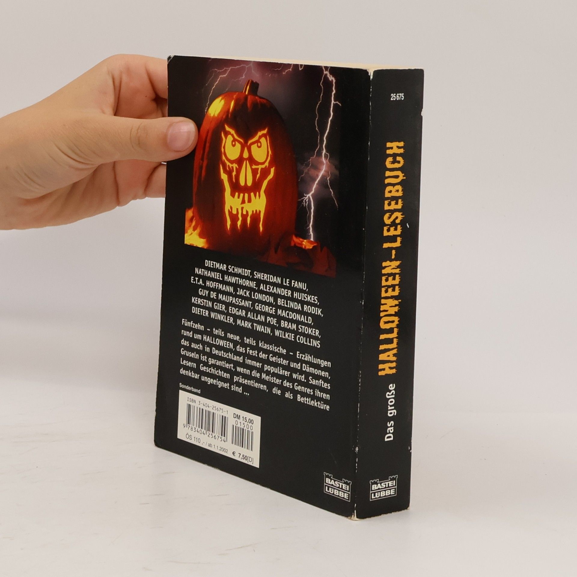 Belinda Rodik Das grosse Halloween-Lesebuch