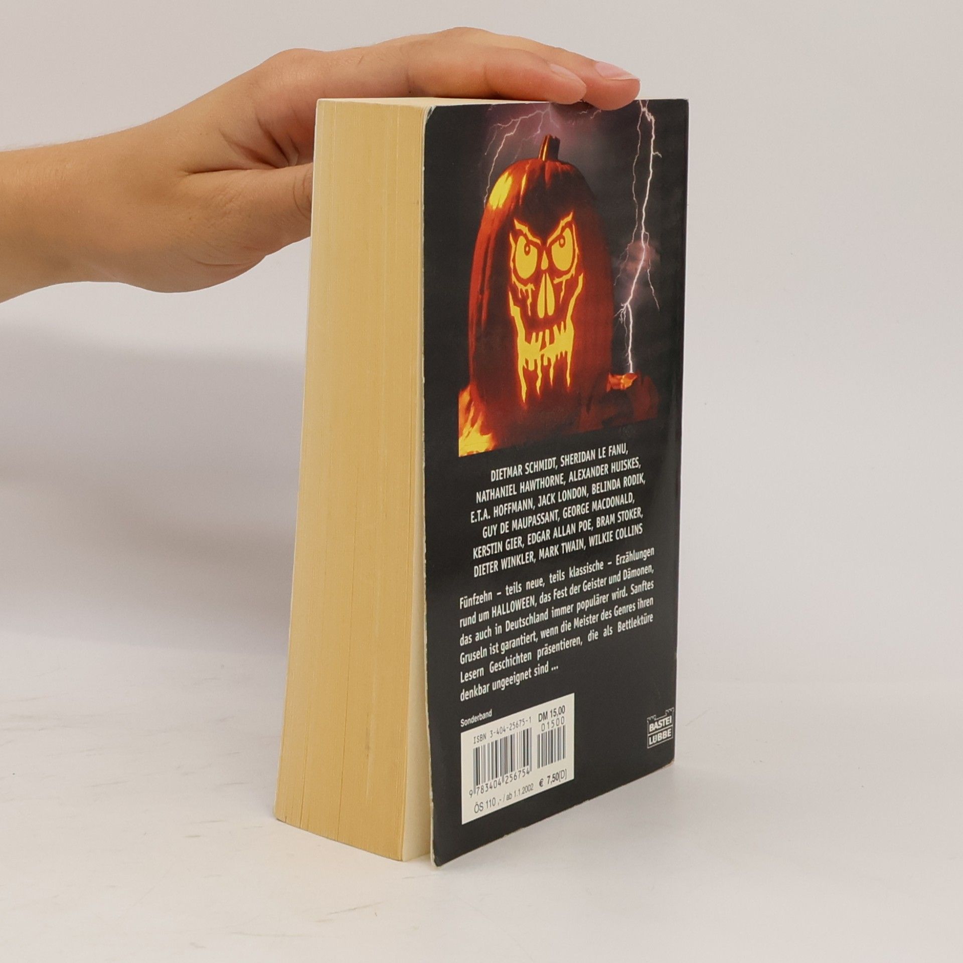Belinda Rodik Das grosse Halloween-Lesebuch