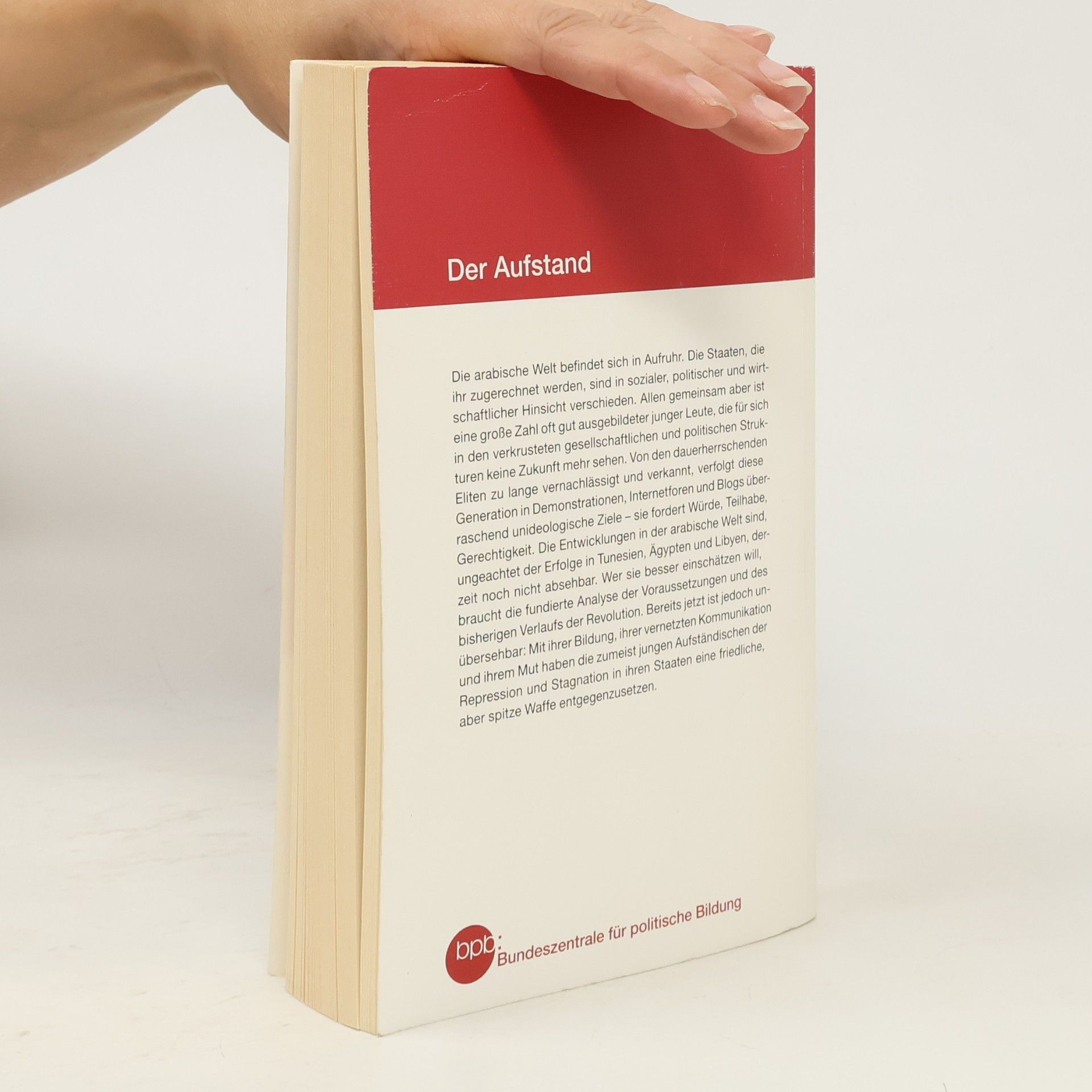 Volker Perthes Der Aufstand