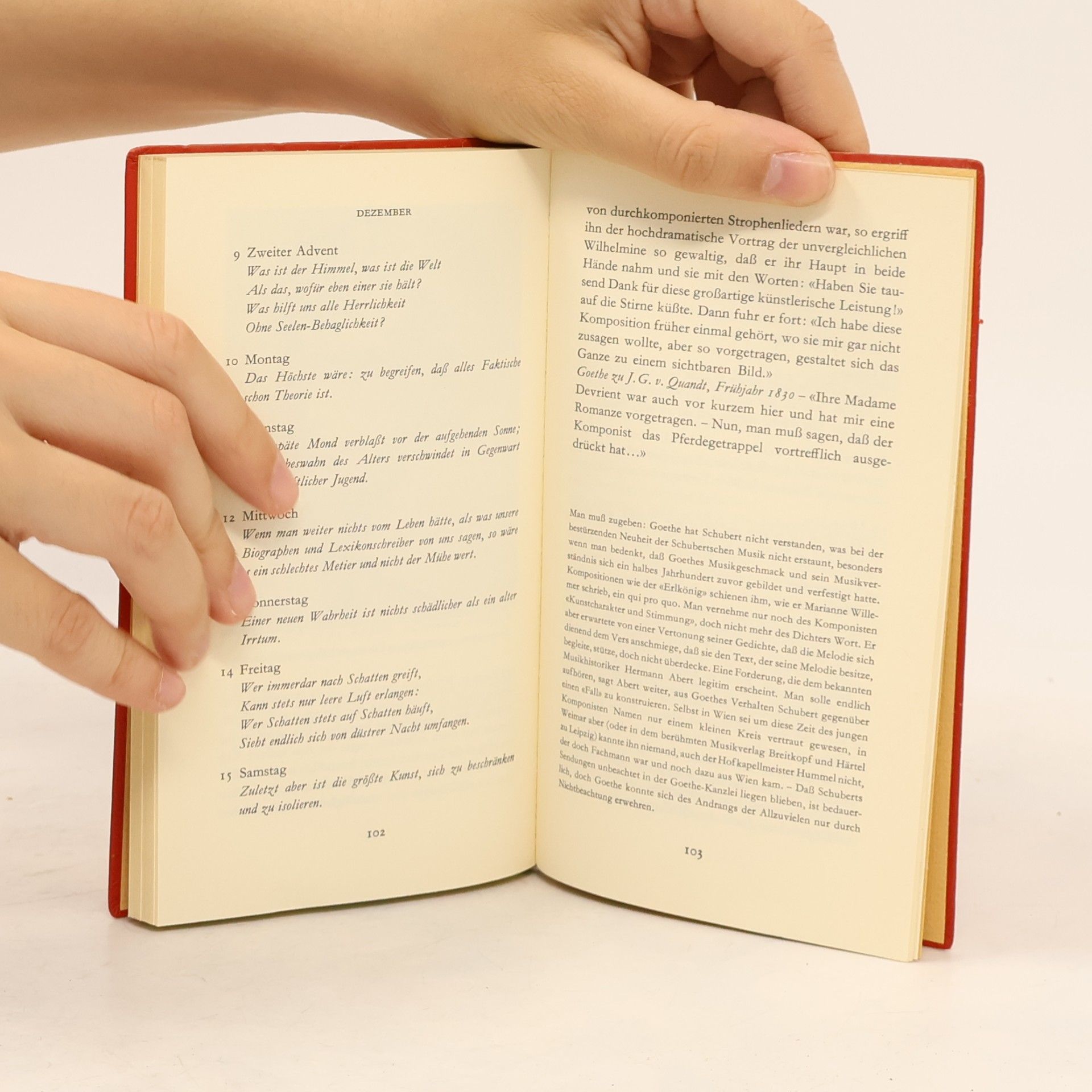 Various authors Mit Goethe durch das Jahr