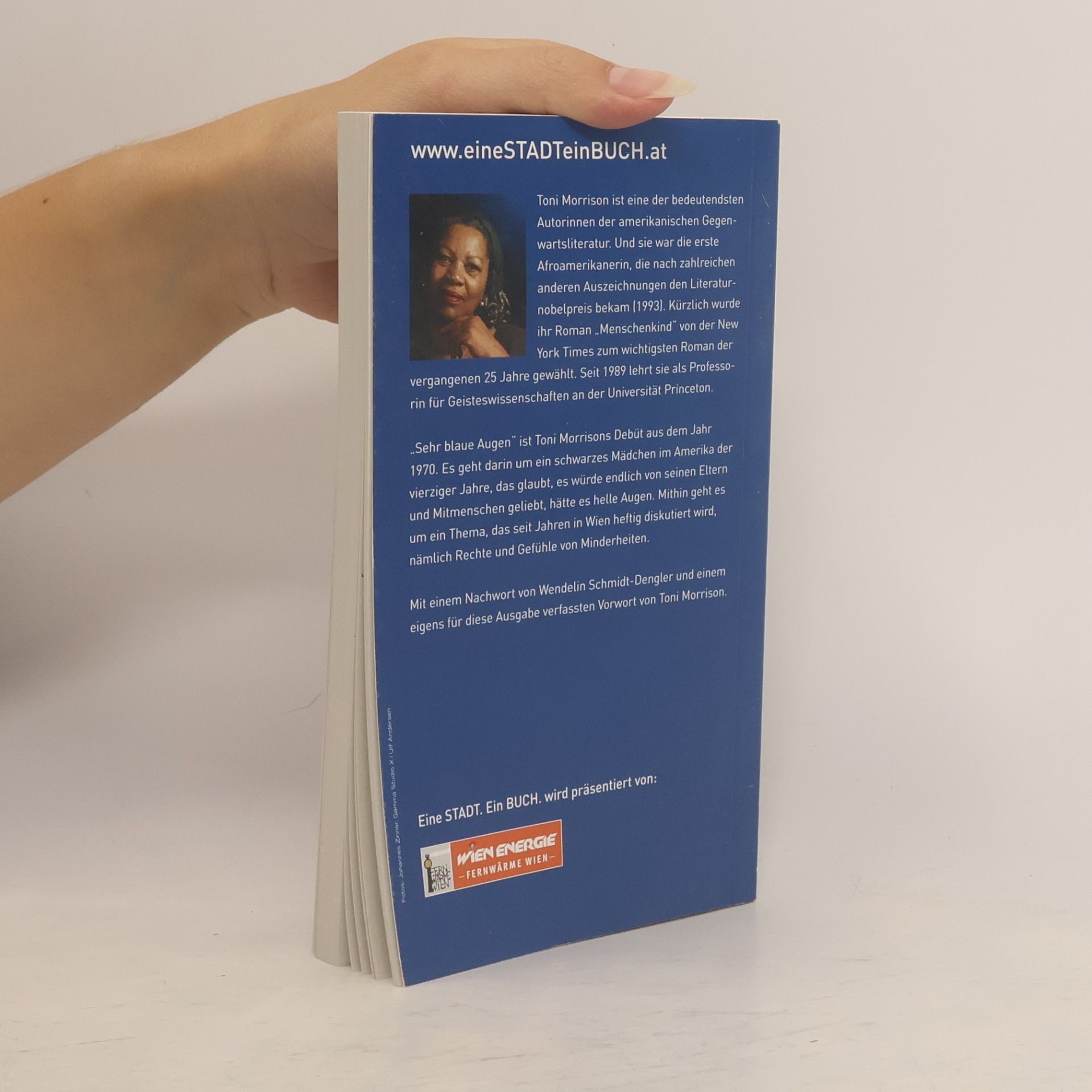 Toni Morrison Sehr blaue Augen