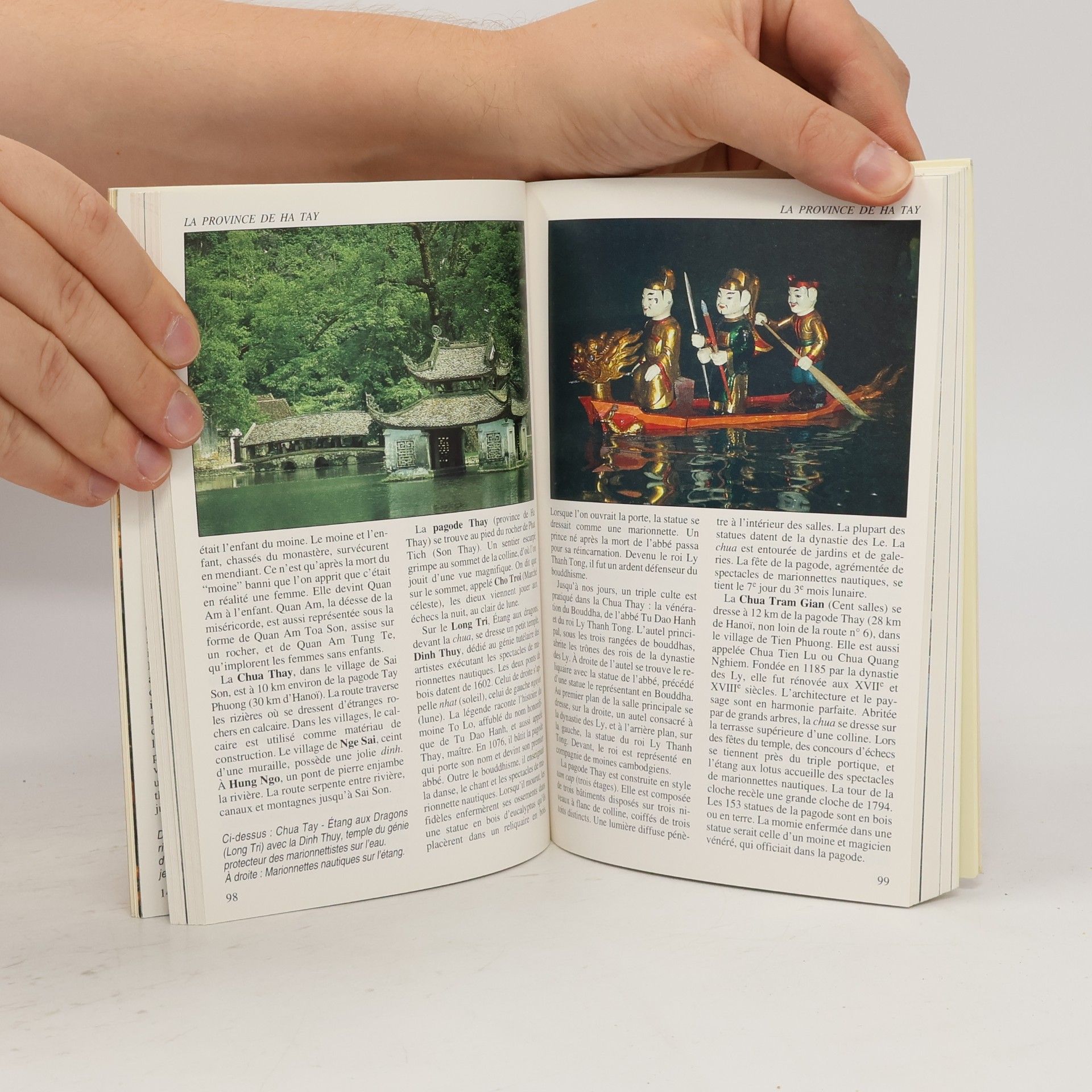 Annaliese Wulf Nelles Guides: Vietnam - Édition Française