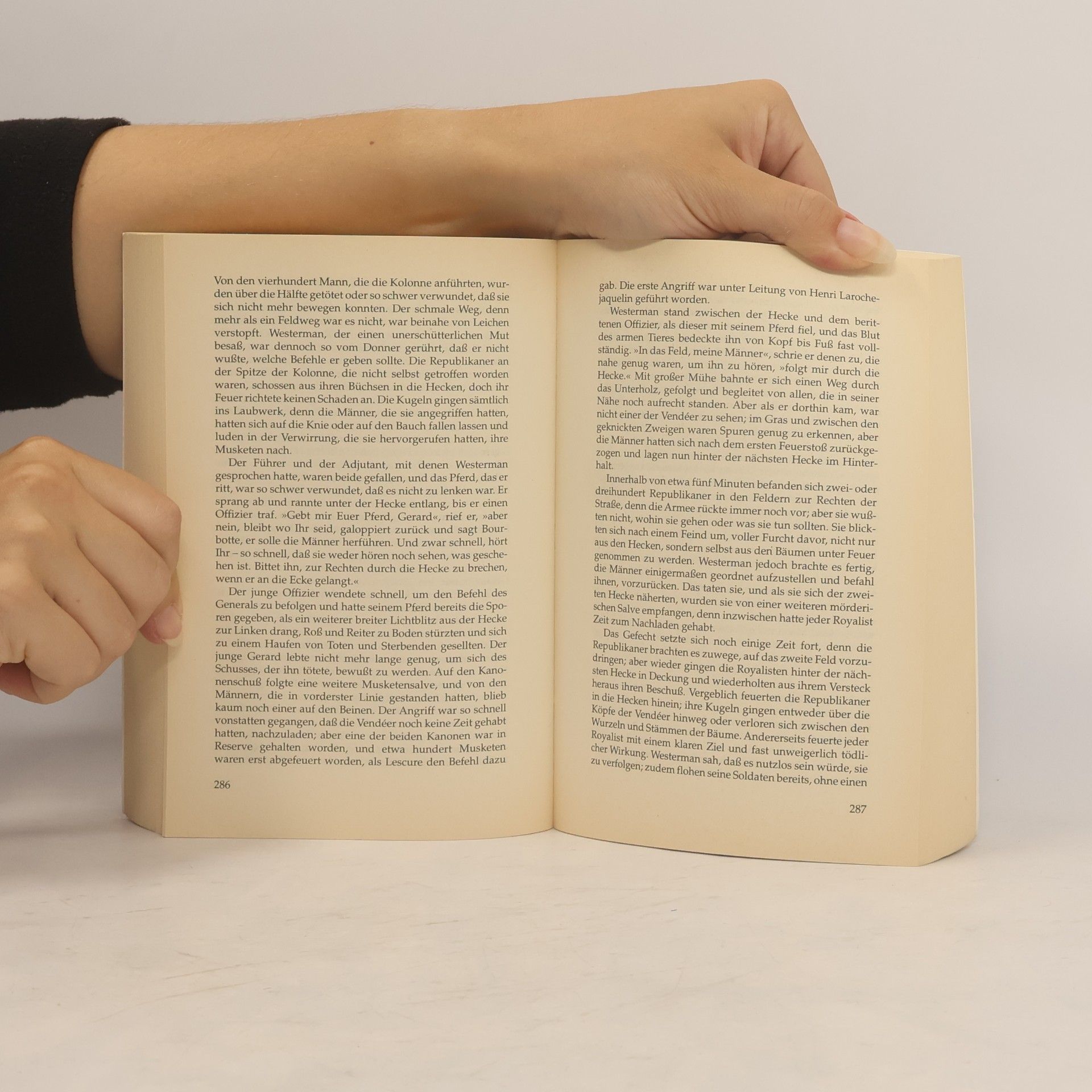 Anthony Trollope Eine Liebe in Frankreich