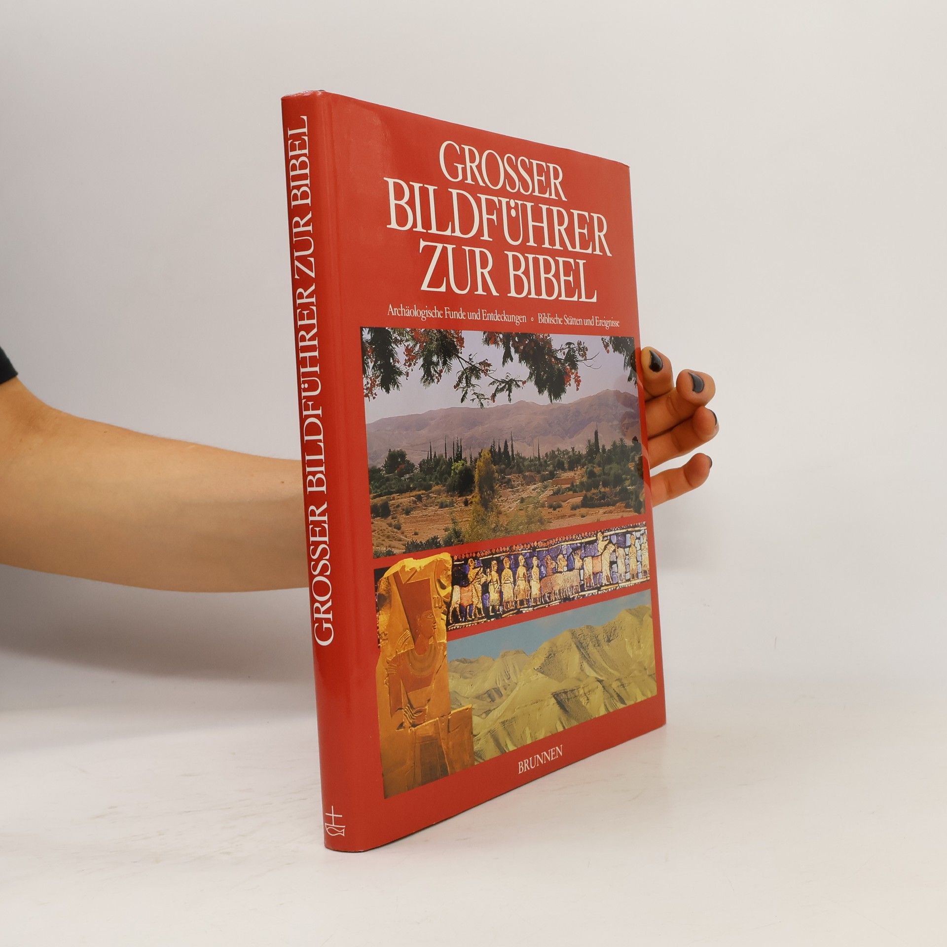 Caroline Masom Grosser Bildführer zur Bibel
