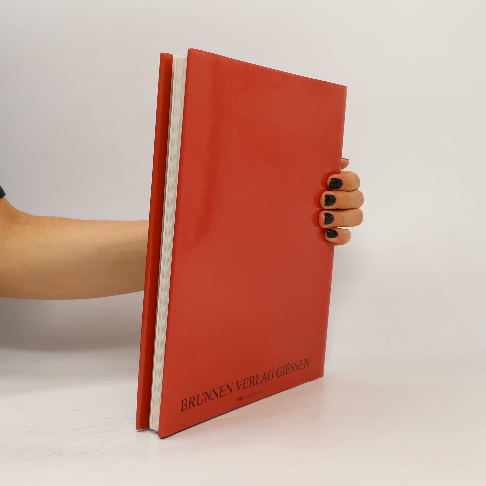 Caroline Masom Grosser Bildführer zur Bibel