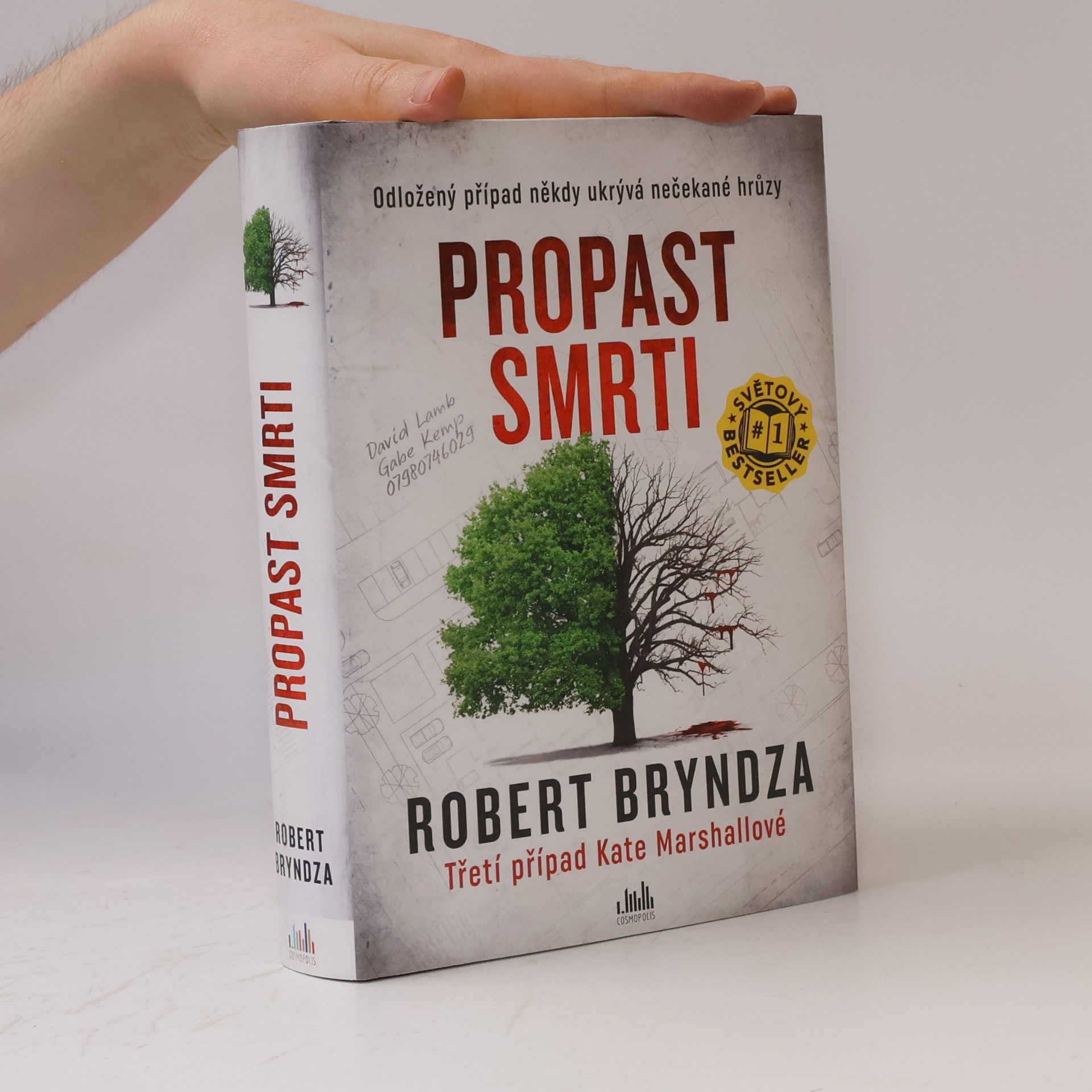 Robert Bryndza Propast smrti