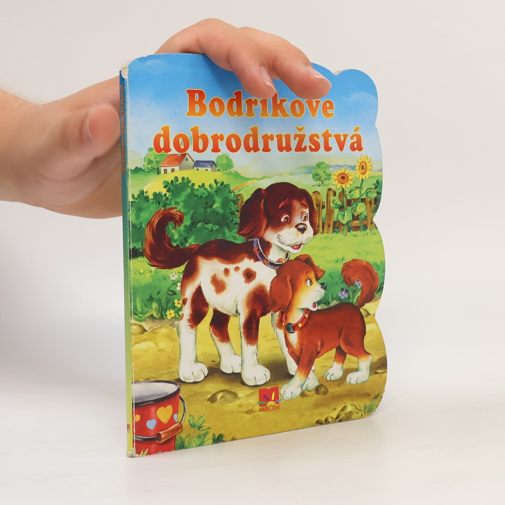 Various authors Bodríkové dobrodružstvá