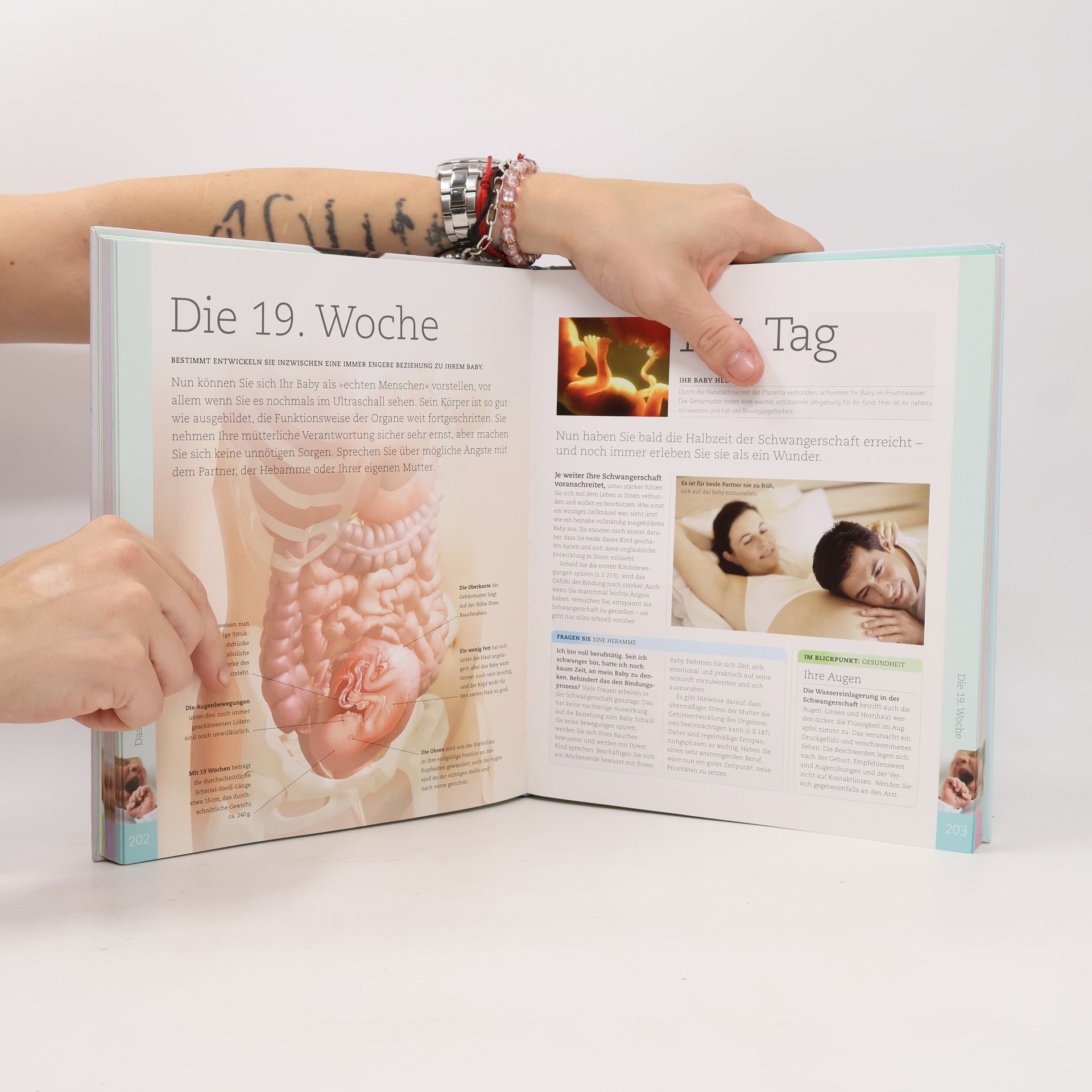 Maggie Dr. Blott Alles über meine Schwangerschaft, Tag für Tag