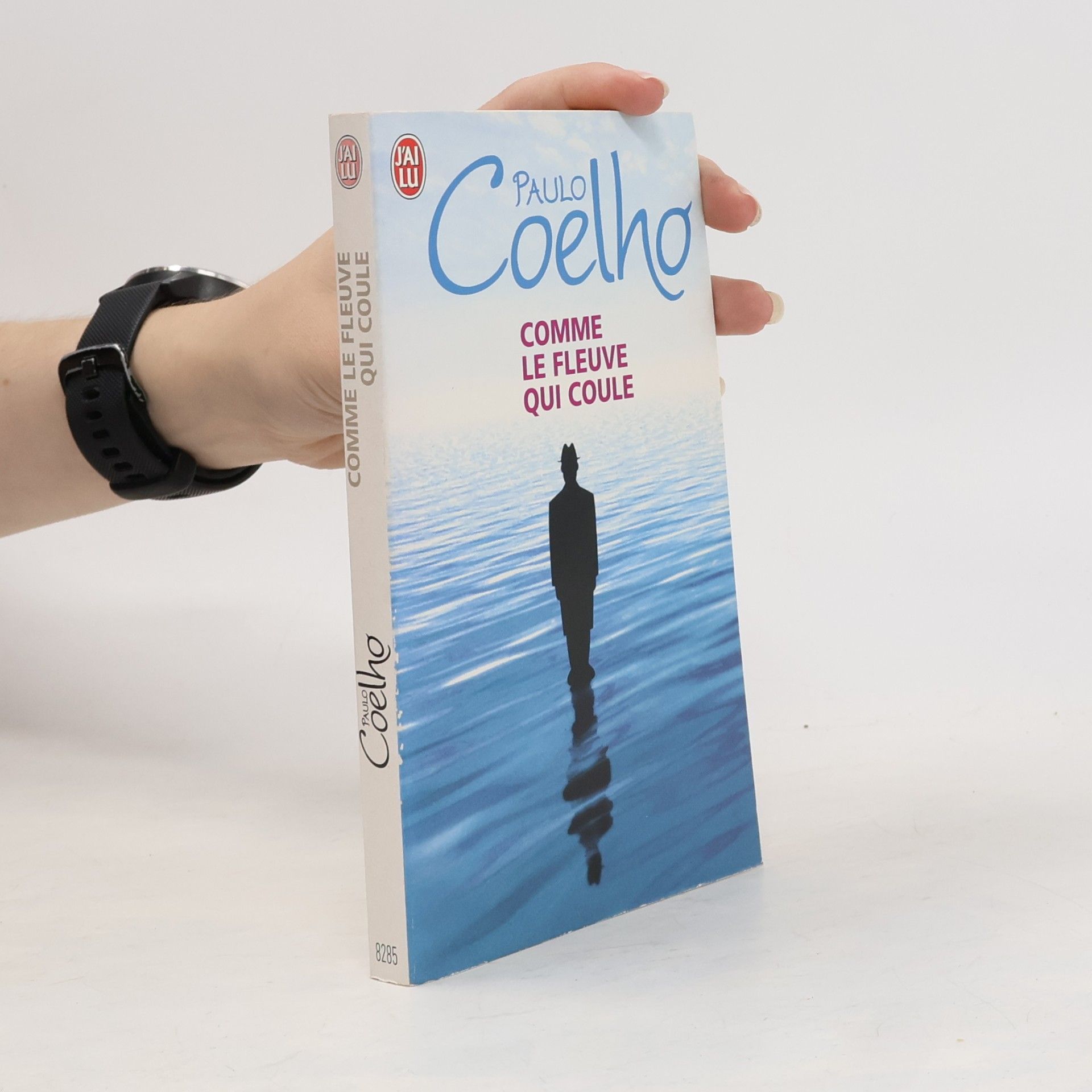 Paulo Coelho Comme le fleuve qui coule