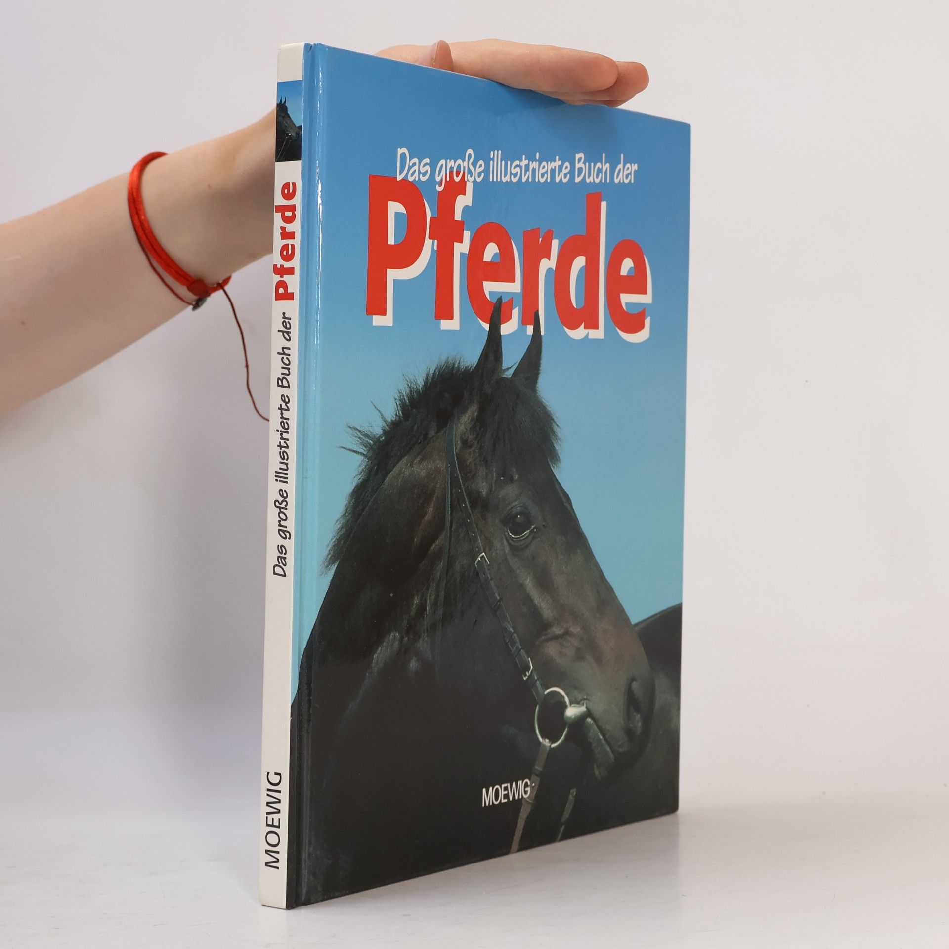 Autorenkollektiv Das große illustrierte Buch der Pferde