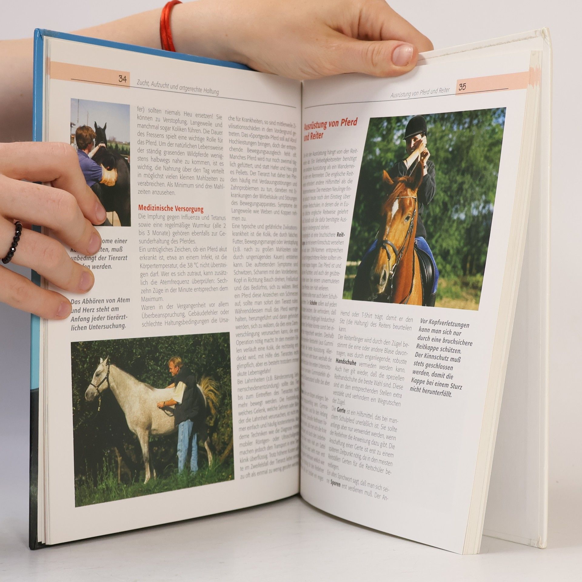 AA.VV. Das große illustrierte Buch der Pferde