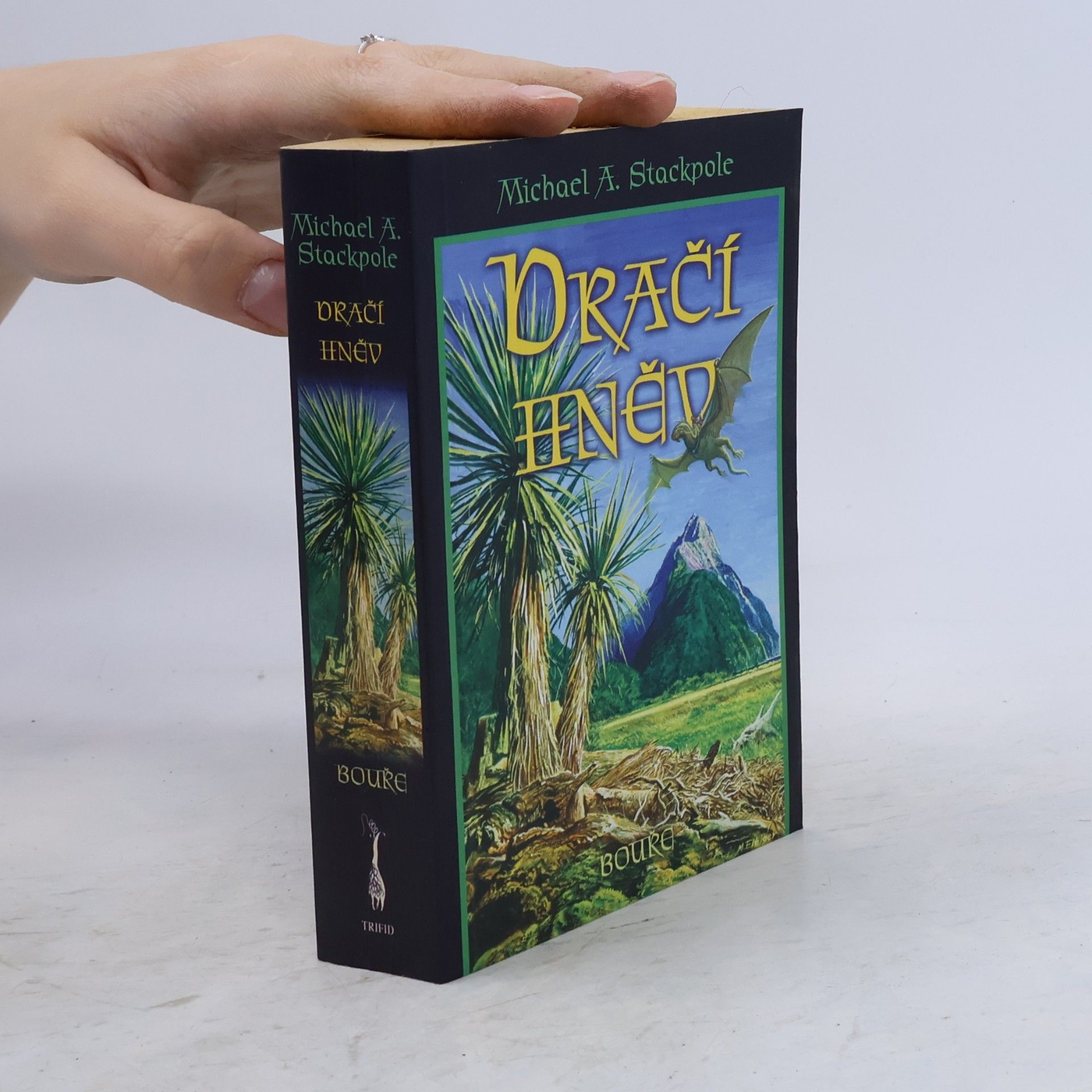 Michael A. Stackpole Bouře. Dračí hněv 2