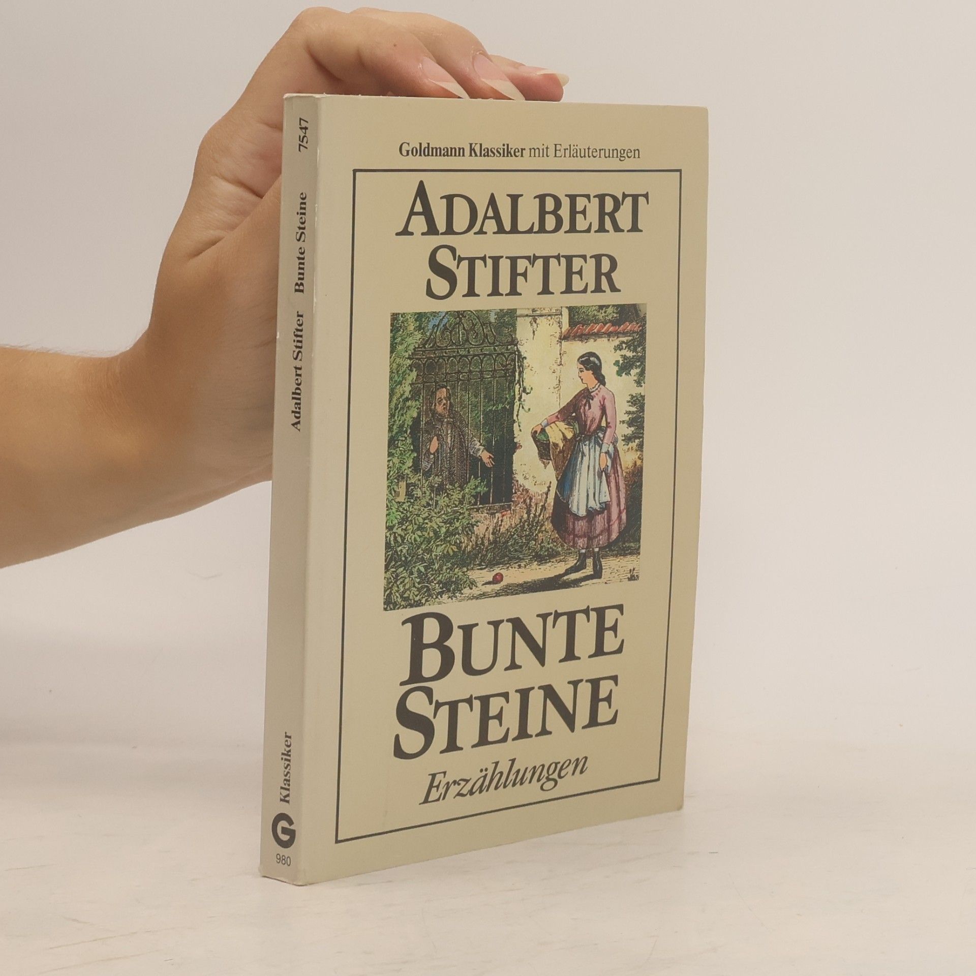 Adalbert Stifter Bunte Steine