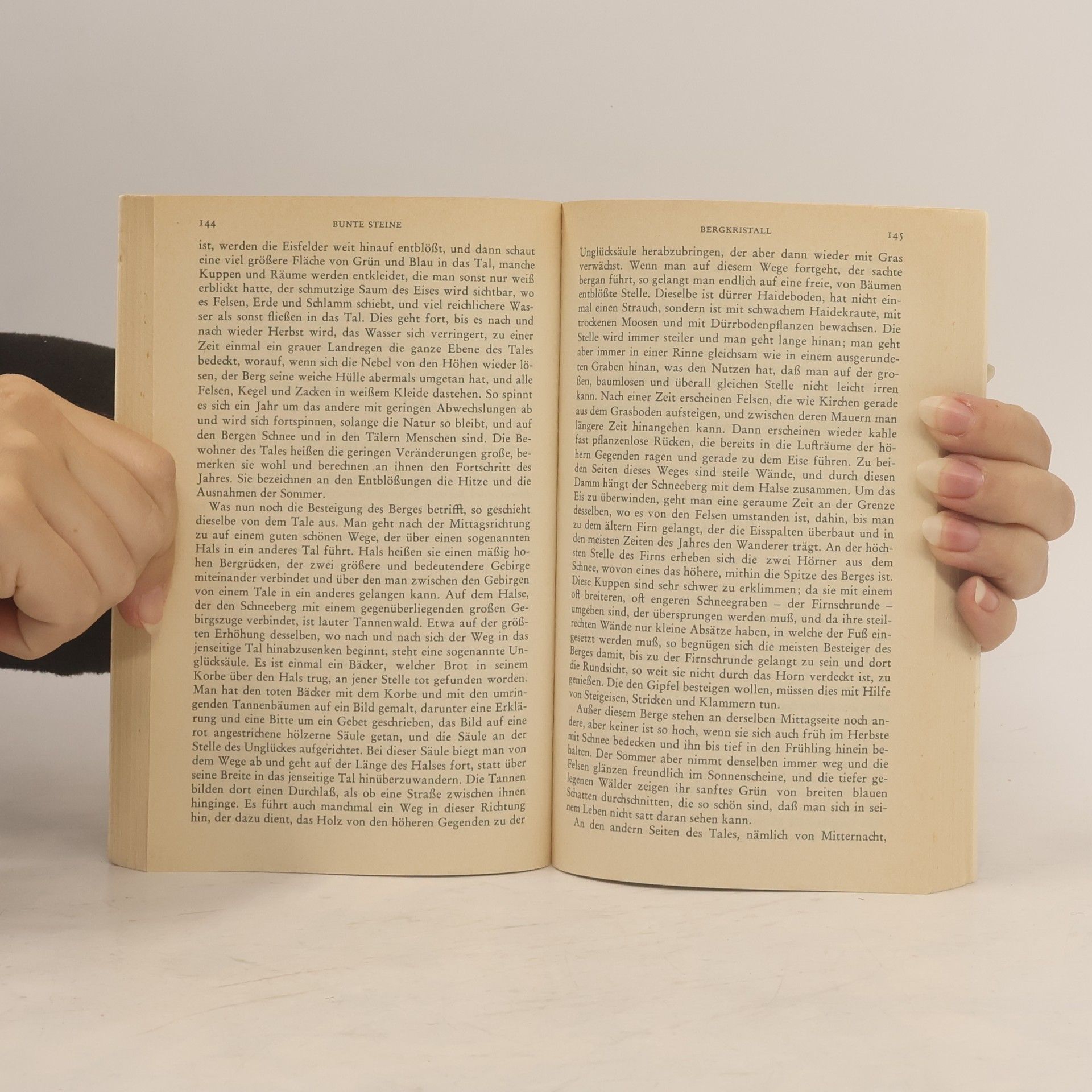 Adalbert Stifter Bunte Steine