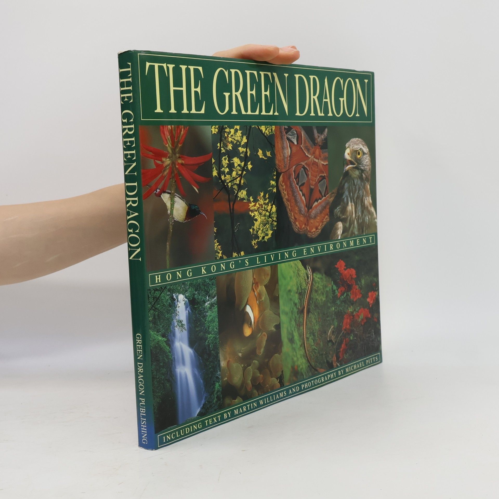 The Green Dragon
