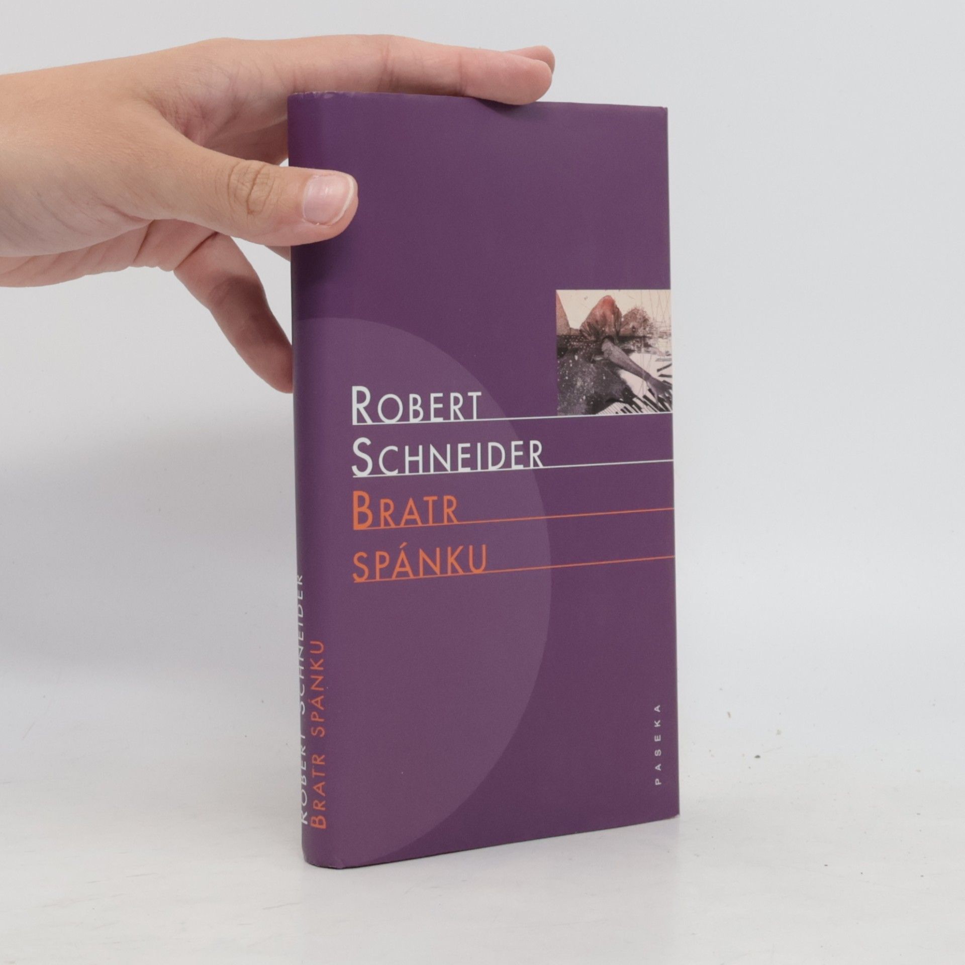 Robert Schneider Bratr spánku