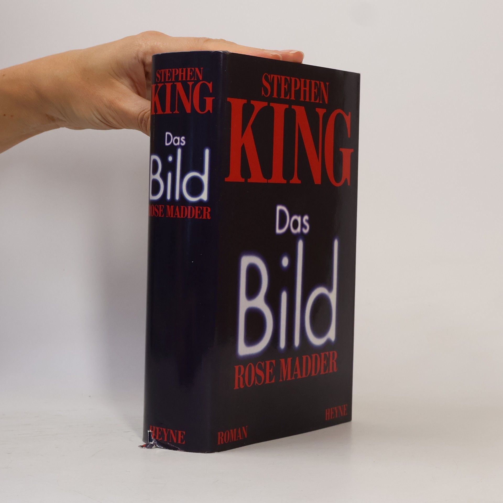 Stephen King Das Bild (Rose Madder)
