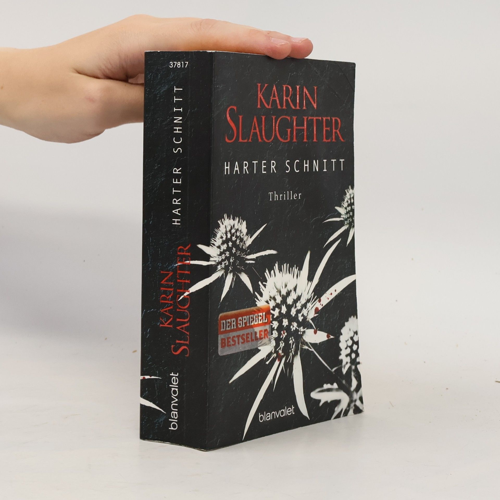 Karin Slaughter Harter Schnitt