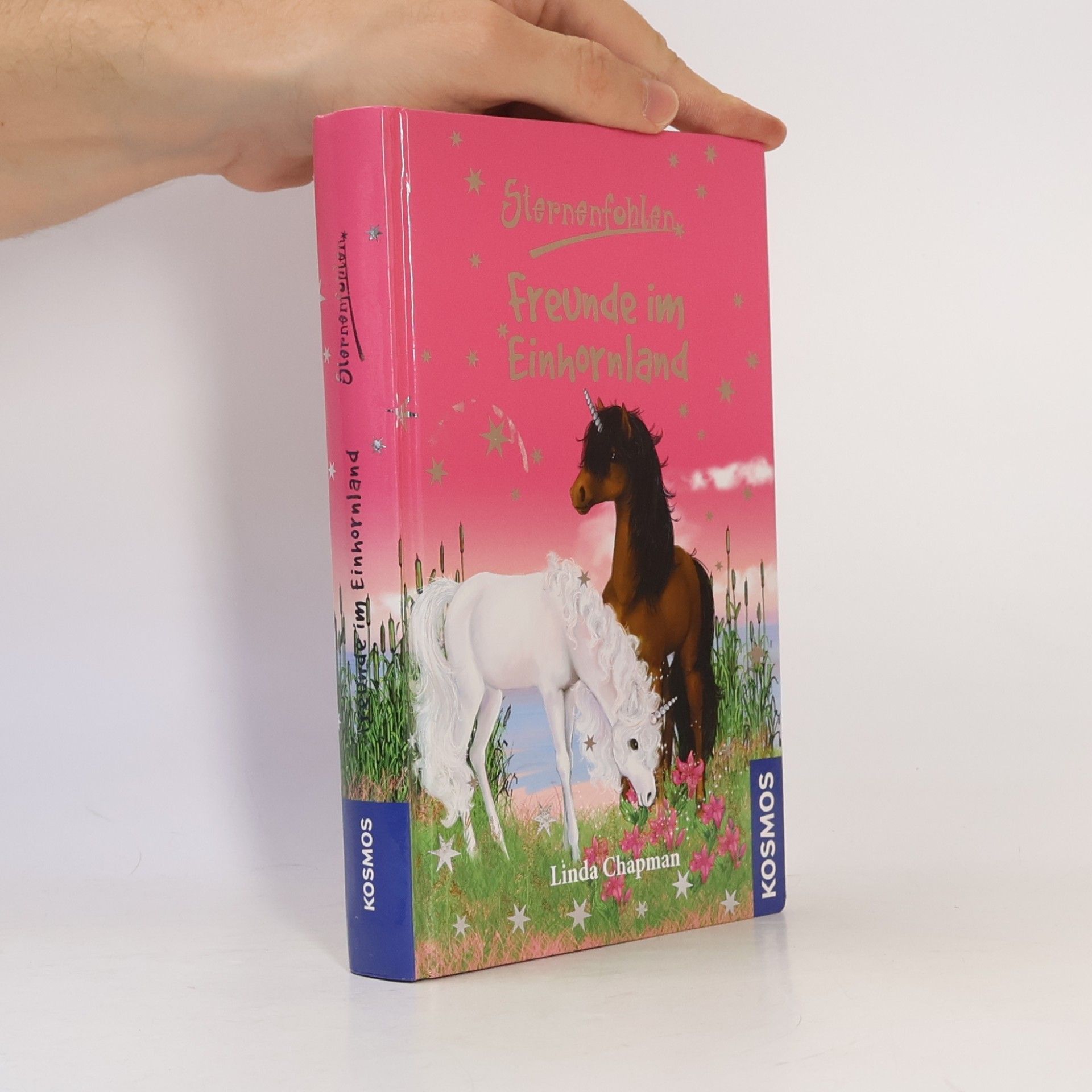 Linda Champan Sternenfohlen - Freunde im Einhornland