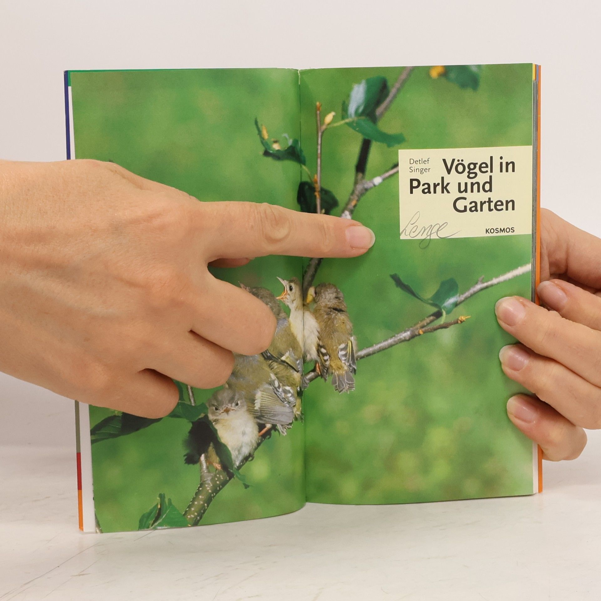 Detlef Singer Vögel in Park und Garten
