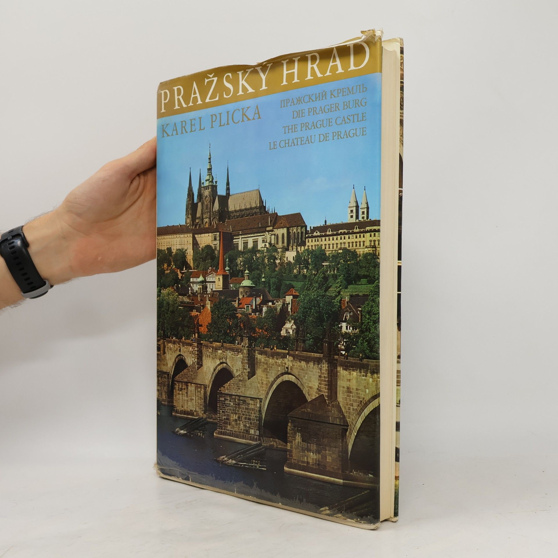 Karel Plicka Pražský hrad
