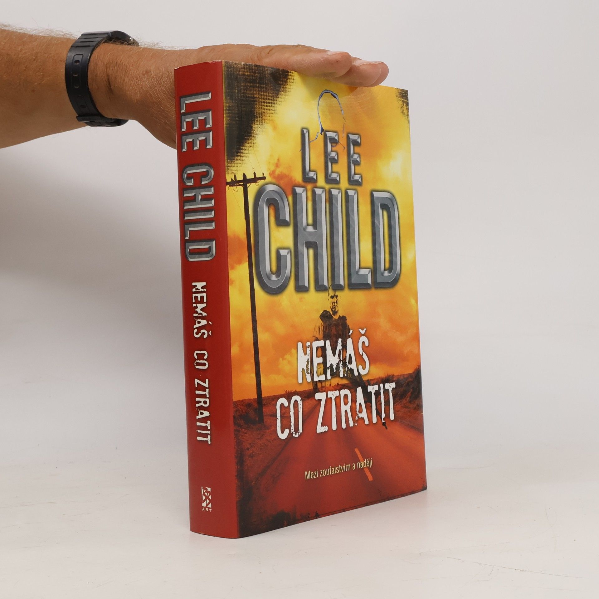 Lee Child Nemáš co ztratit