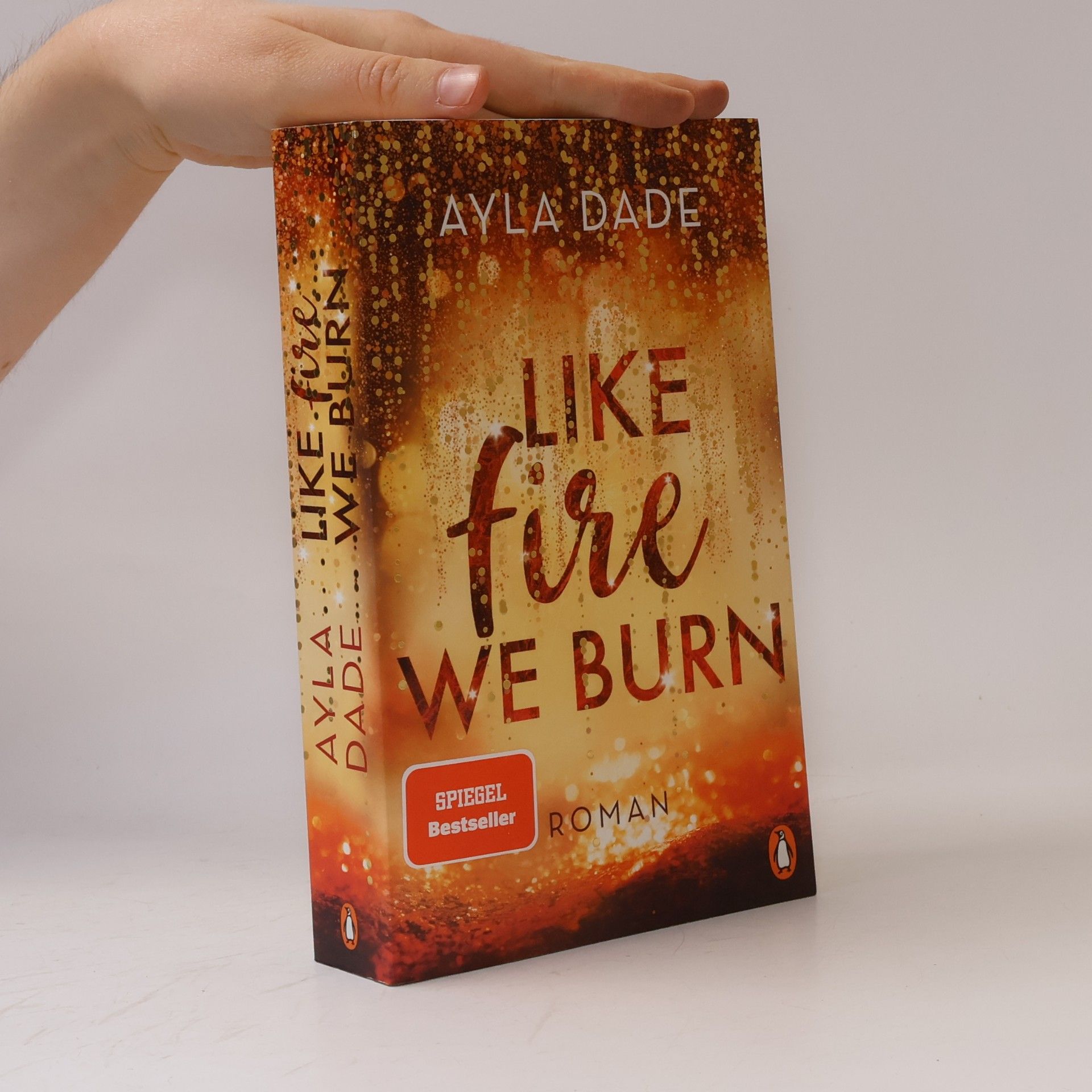 Ayla Dade Like Fire We Burn