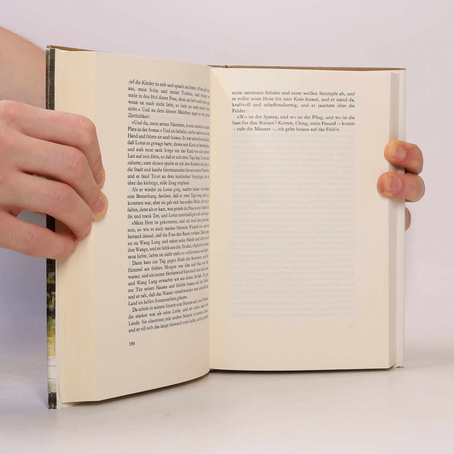 Pearl S. Buck Die Gute Erde