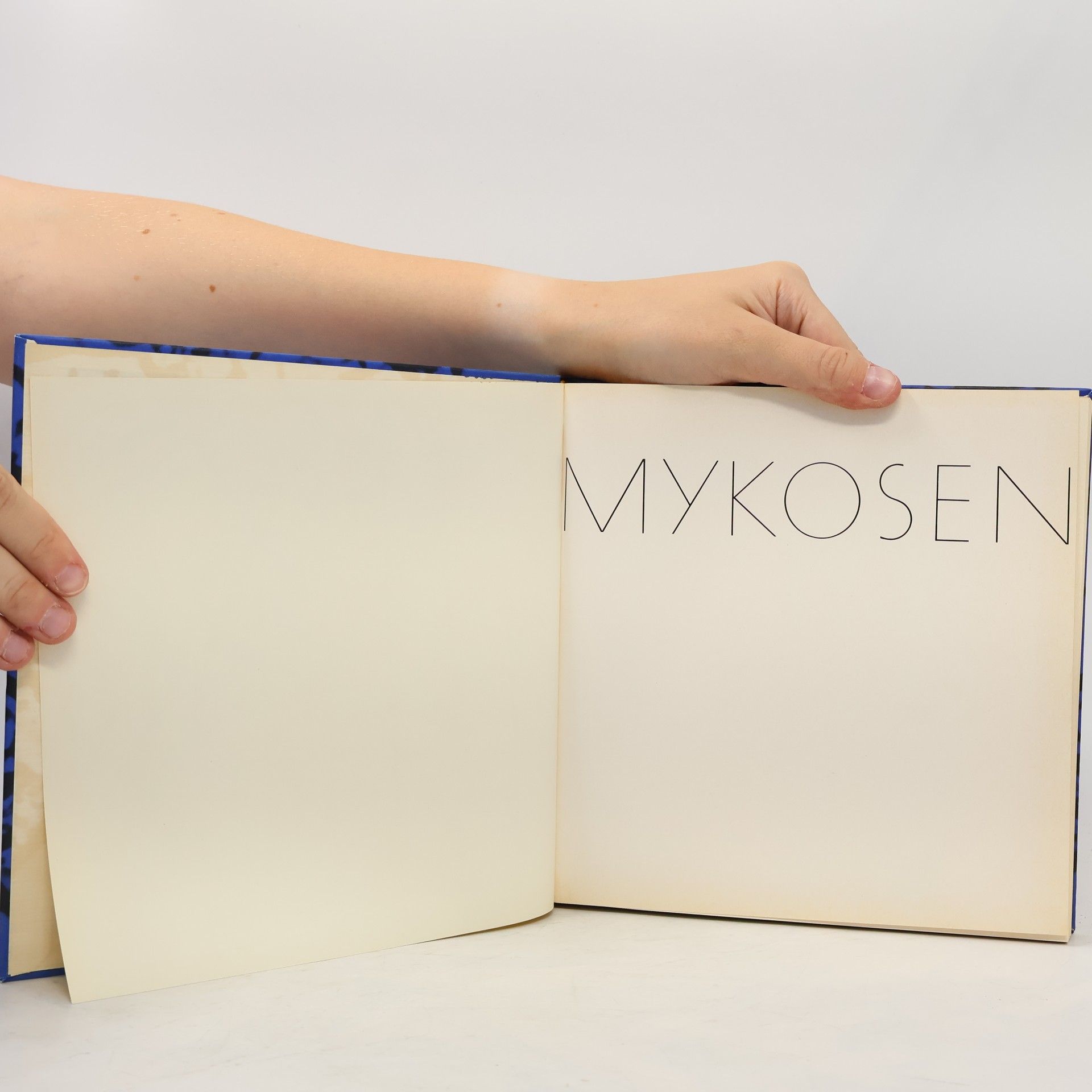 kolektiv Mykosen