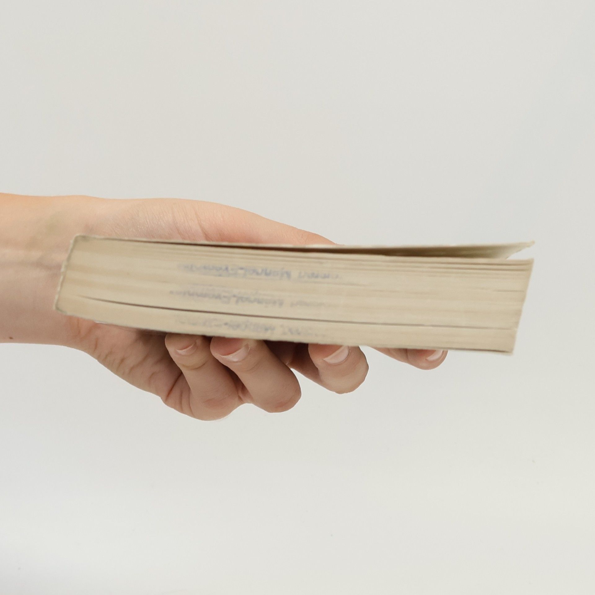 Sascha Westphal Millennium - die zweite Staffel