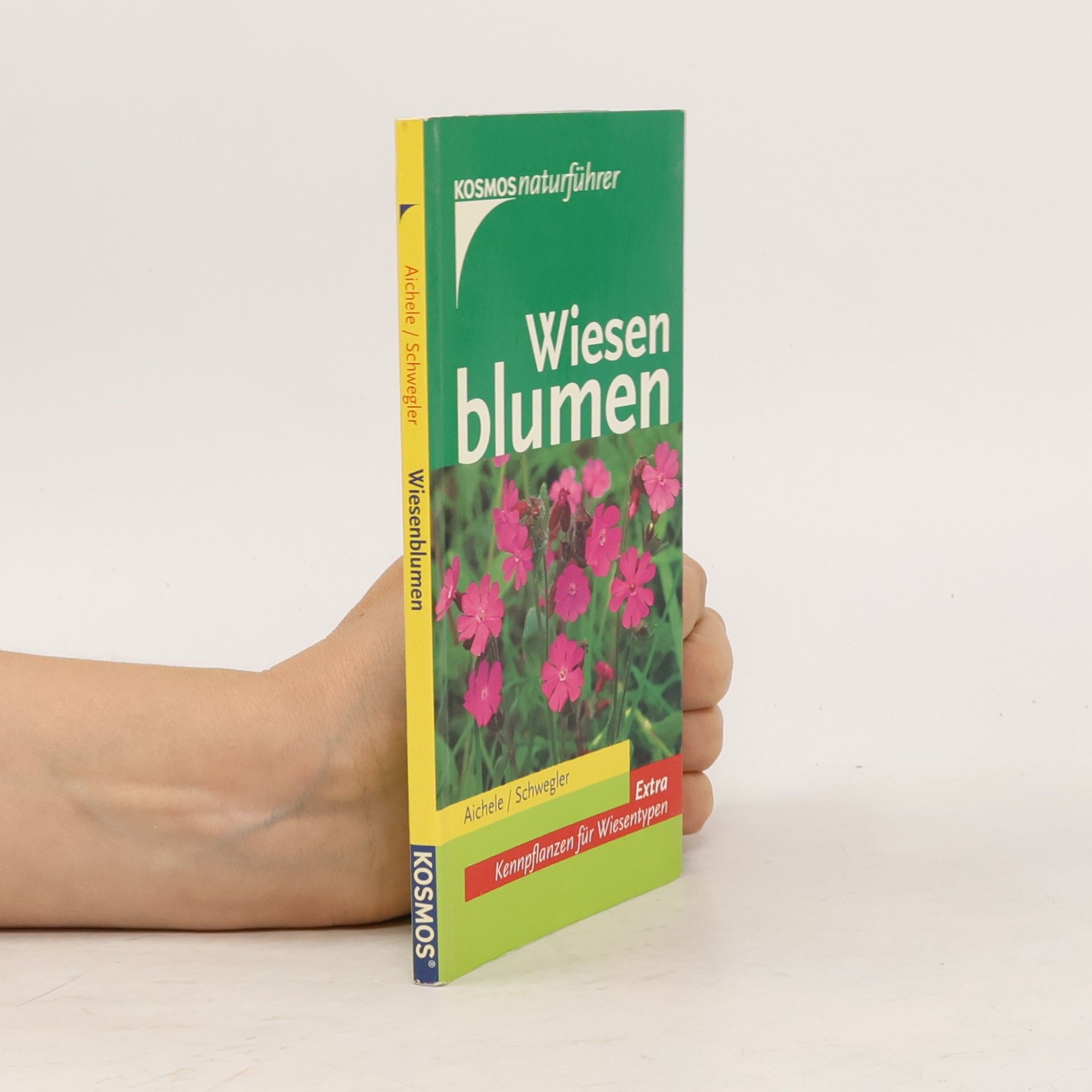 Heinz Werner Schwegler Wiesenblumen