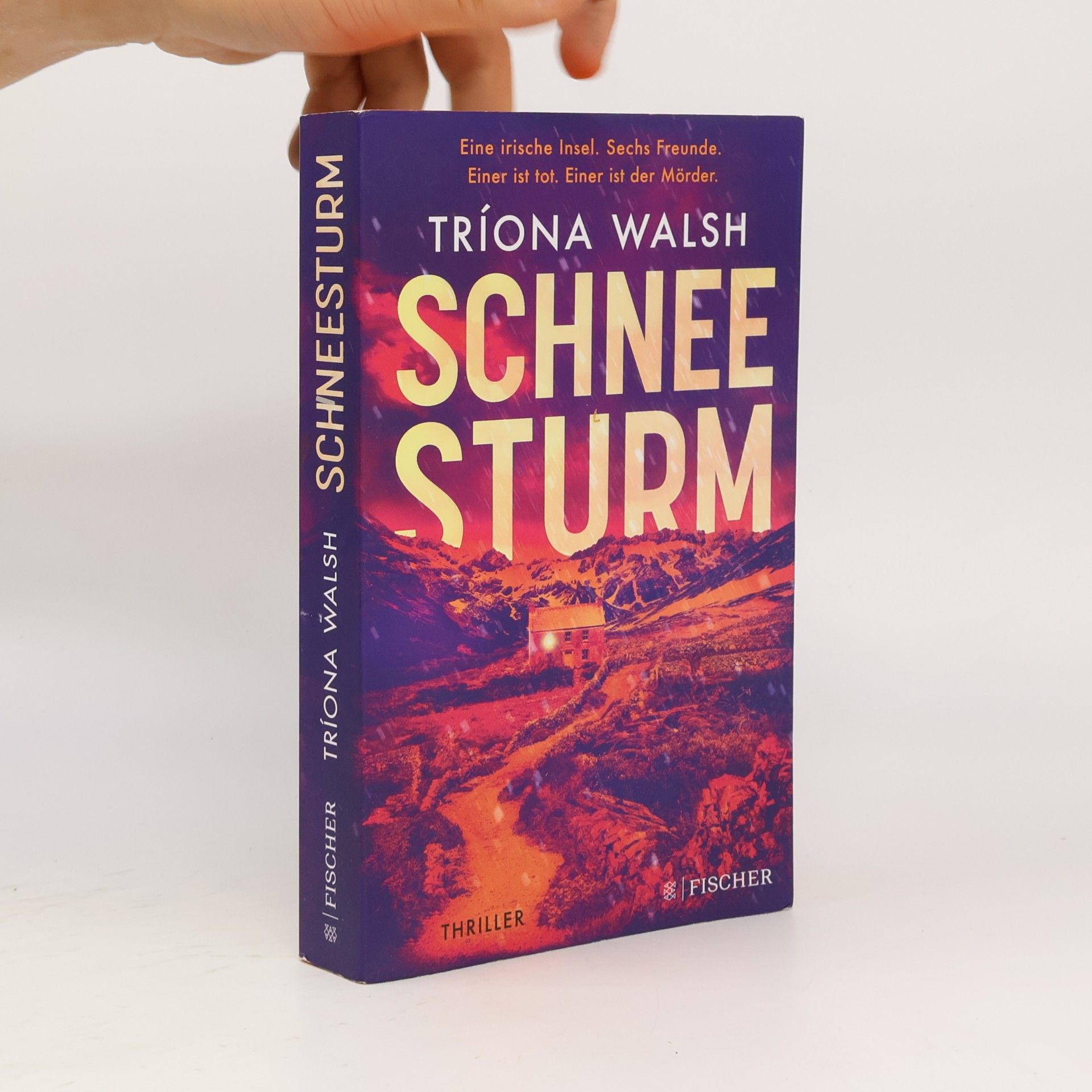 Tríona Walsh Schneesturm