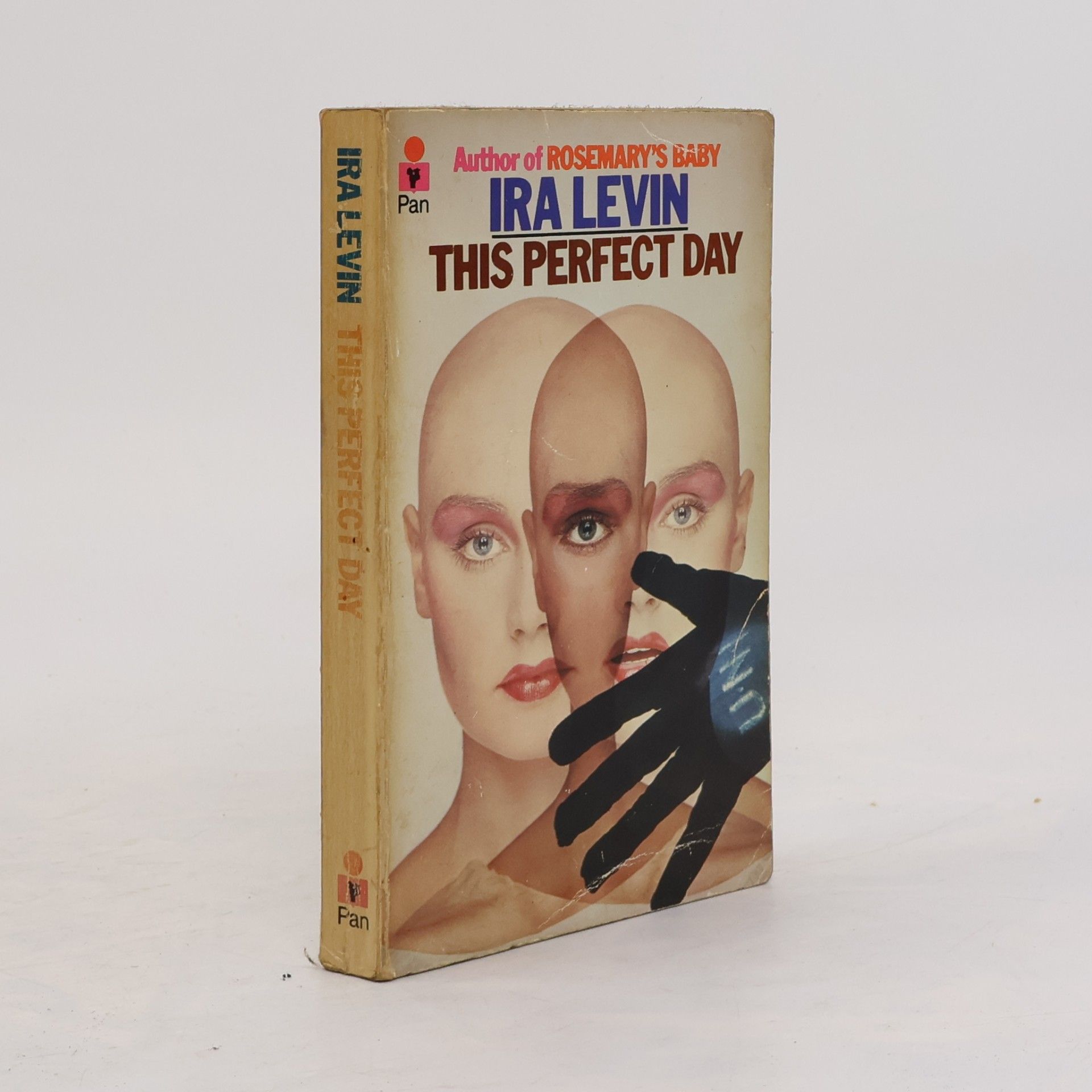 Ira Levin This Perfect Day