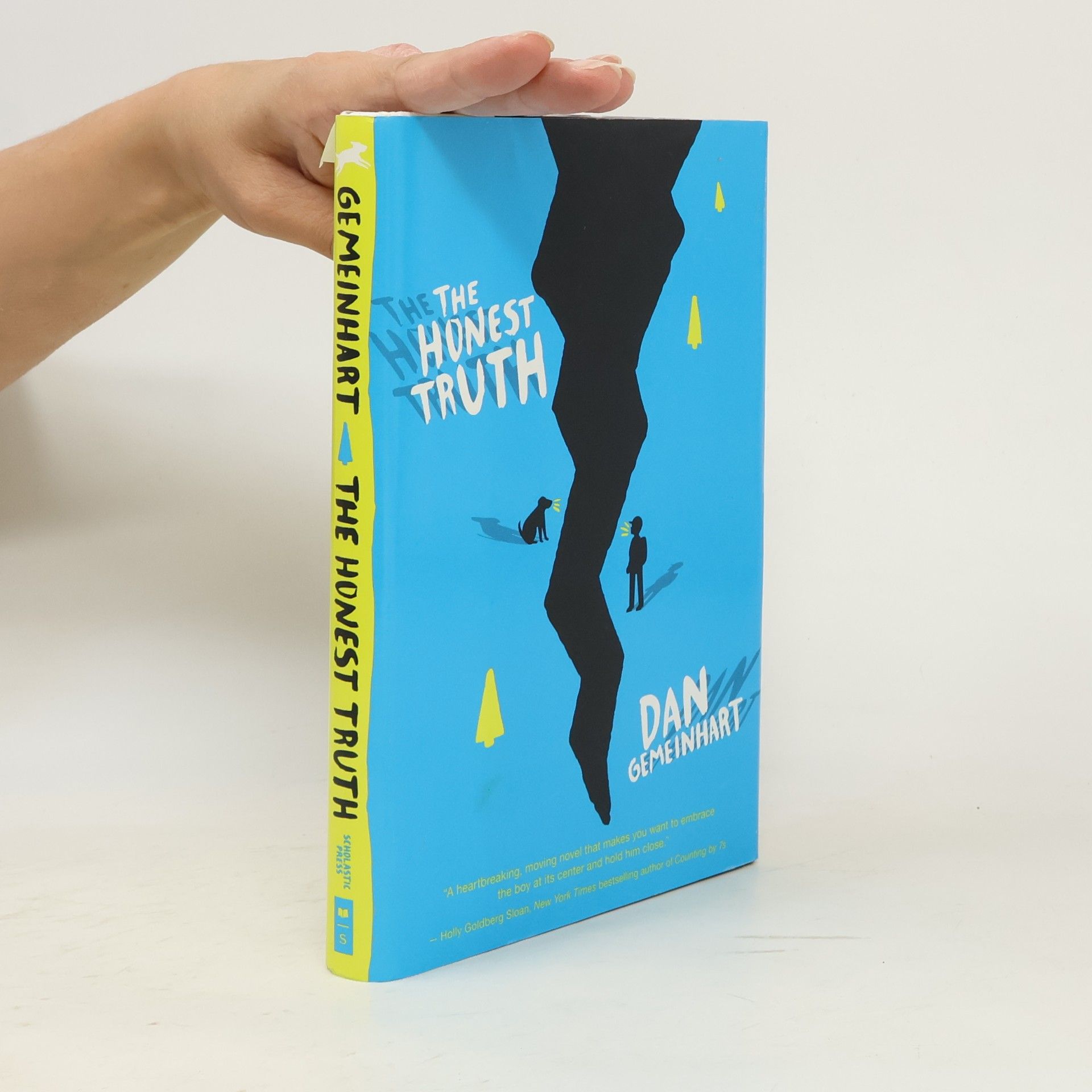 Dan Gemeinhart The Honest Truth