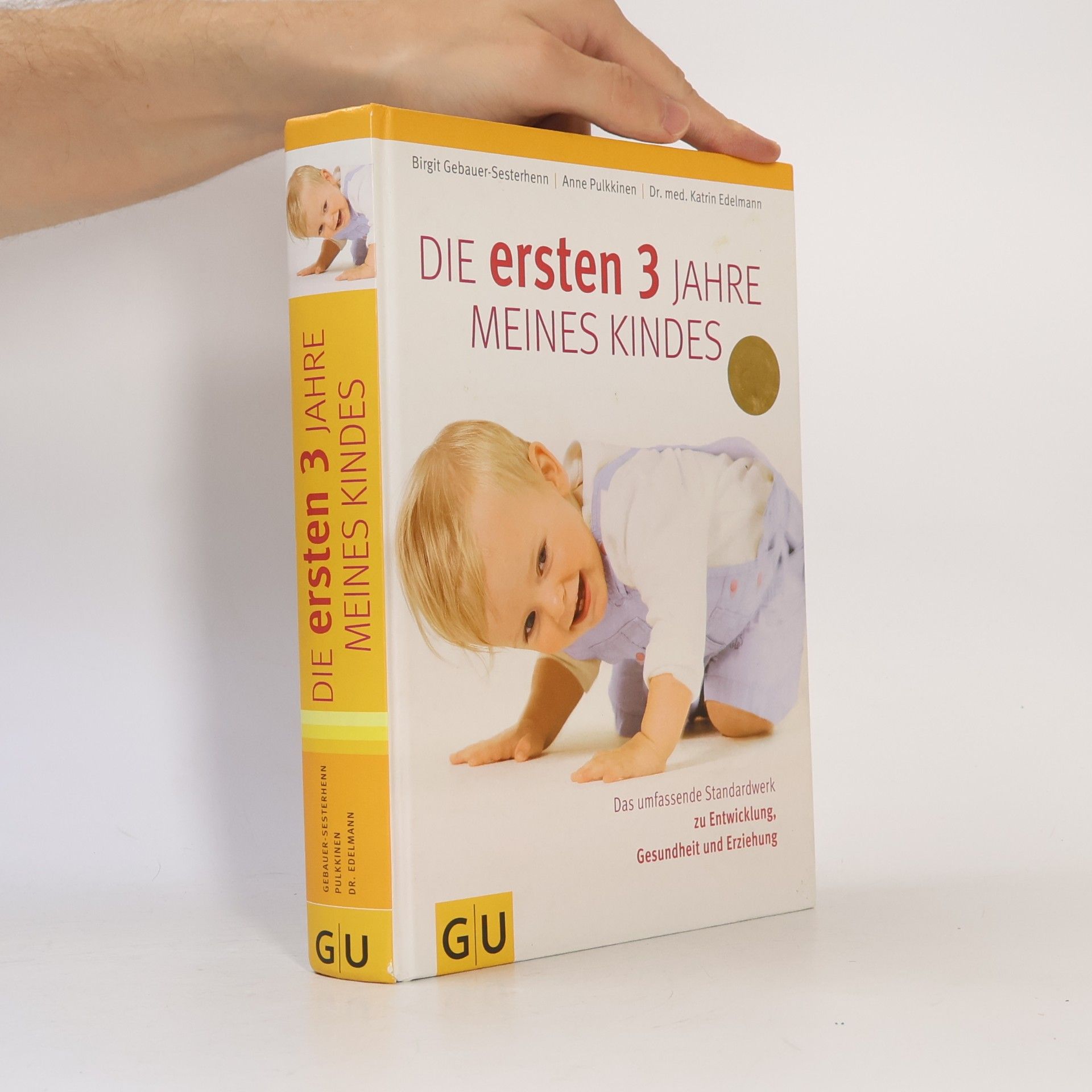 Birgit Sesterhenn Die ersten 3 Jahre meines Kindes