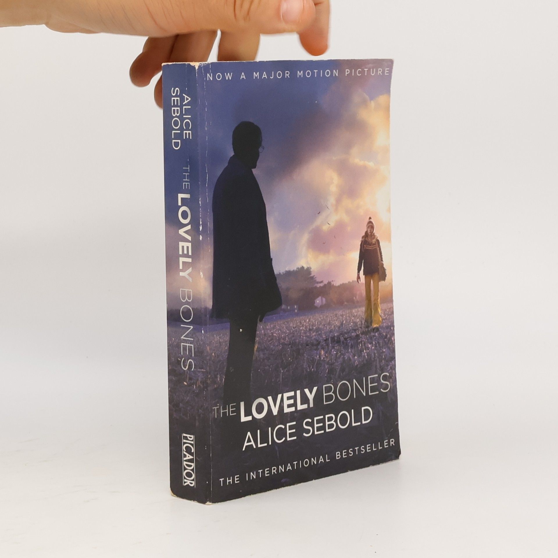 Alice Sebold The Lovely Bones