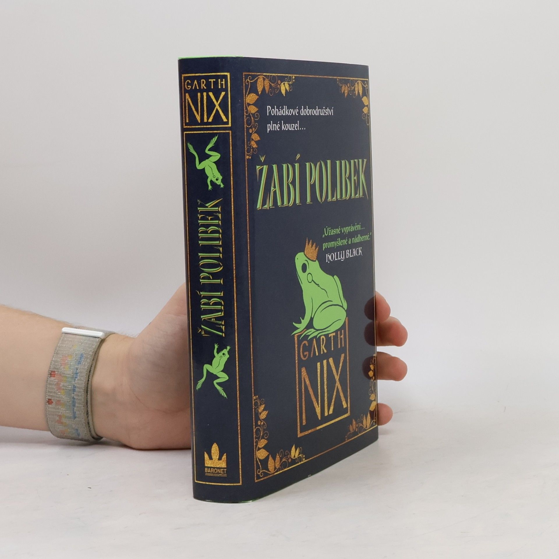Garth Nix Žabí polibek