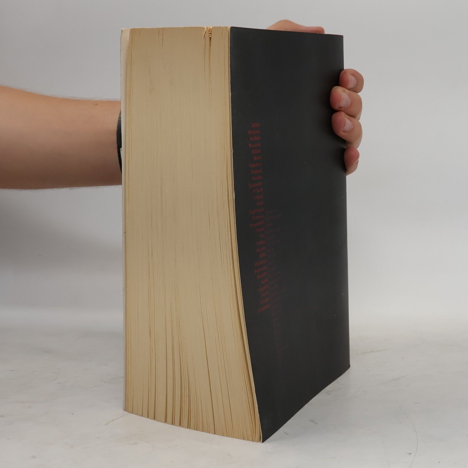 Kolektív autorov Kindlers neues Literatur Lexikon 20