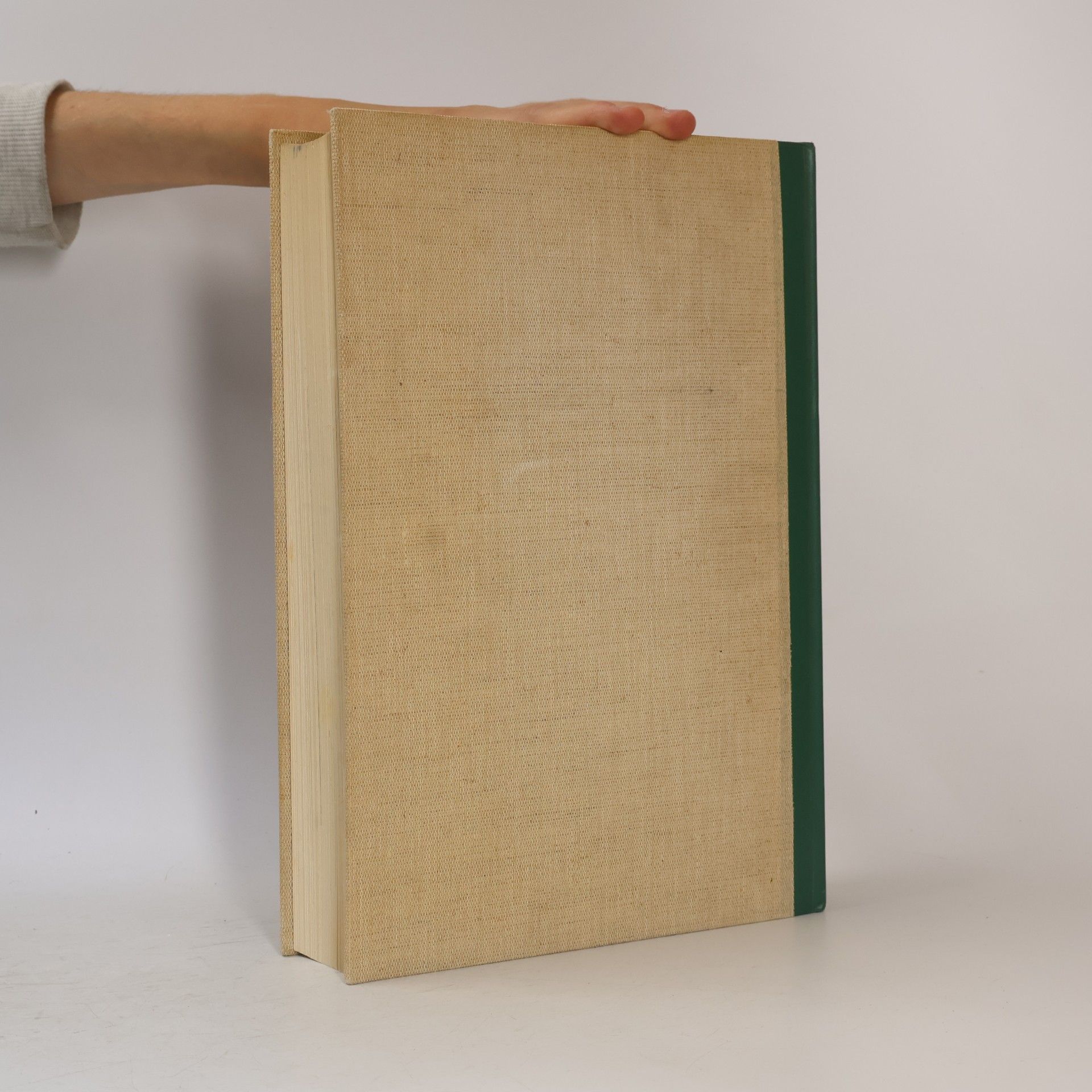 Gottfried Lindemann Kunst, Künstler, Kunstwerke. Malerei