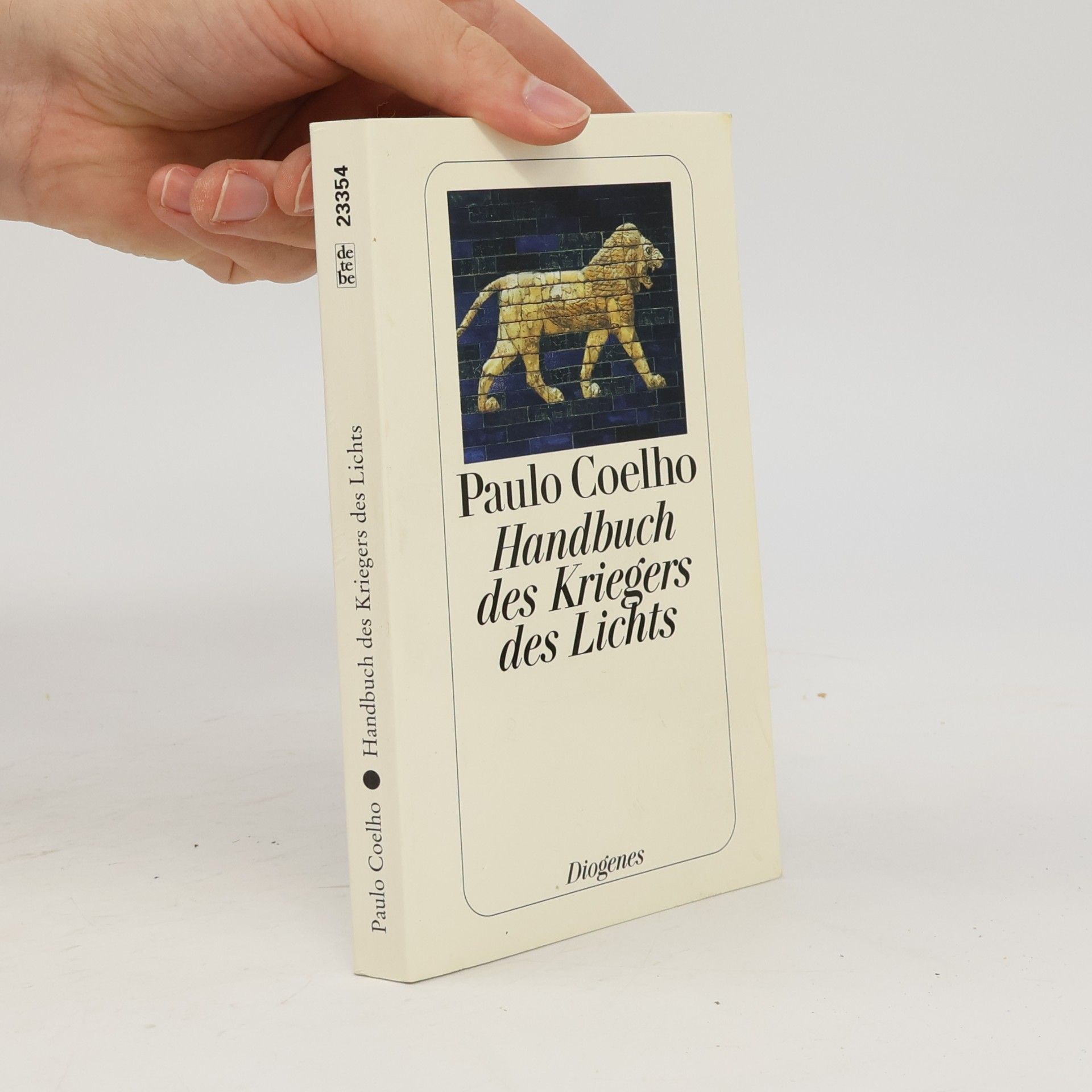 Paulo Coelho Handbuch des Kriegers des Lichts