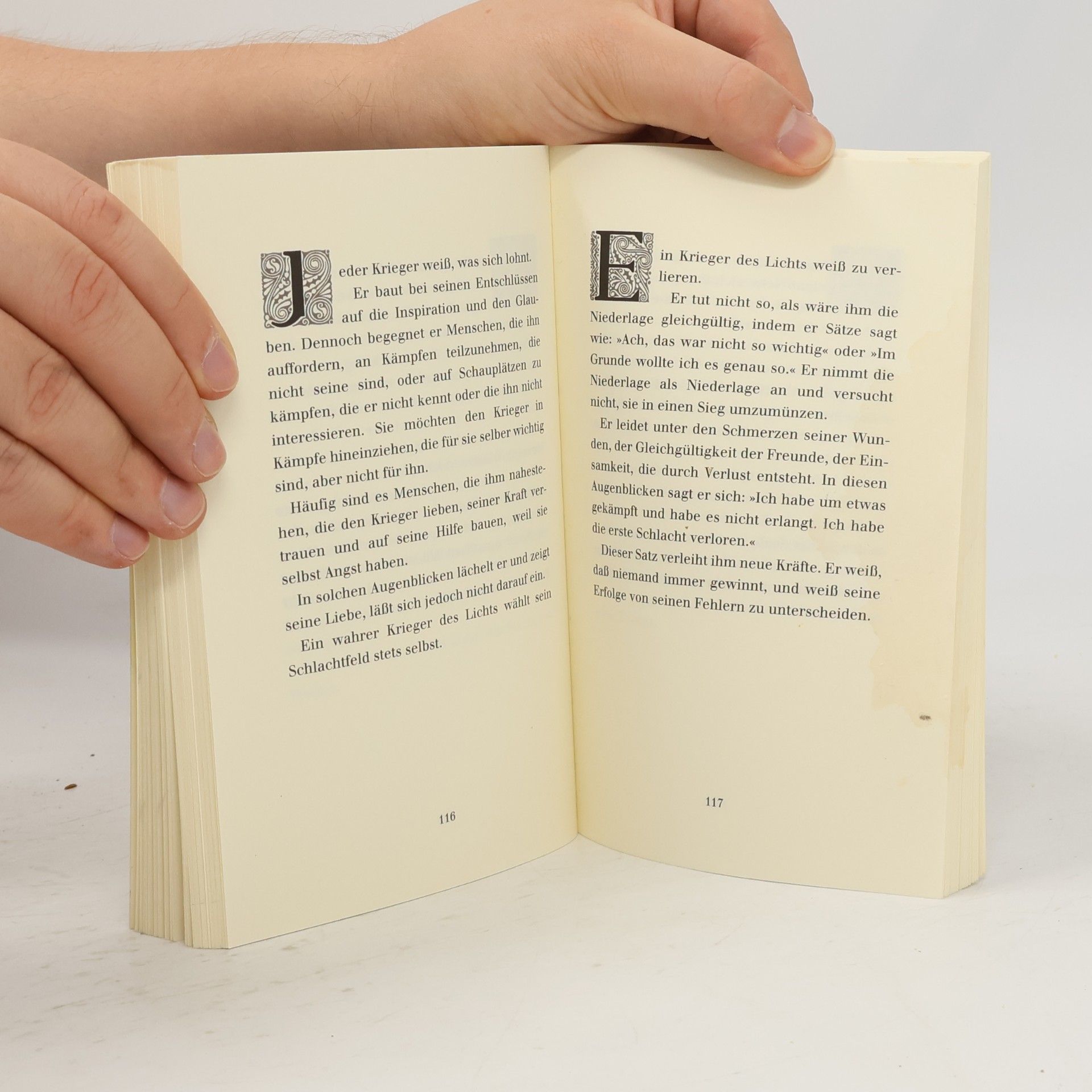 Paulo Coelho Handbuch des Kriegers des Lichts
