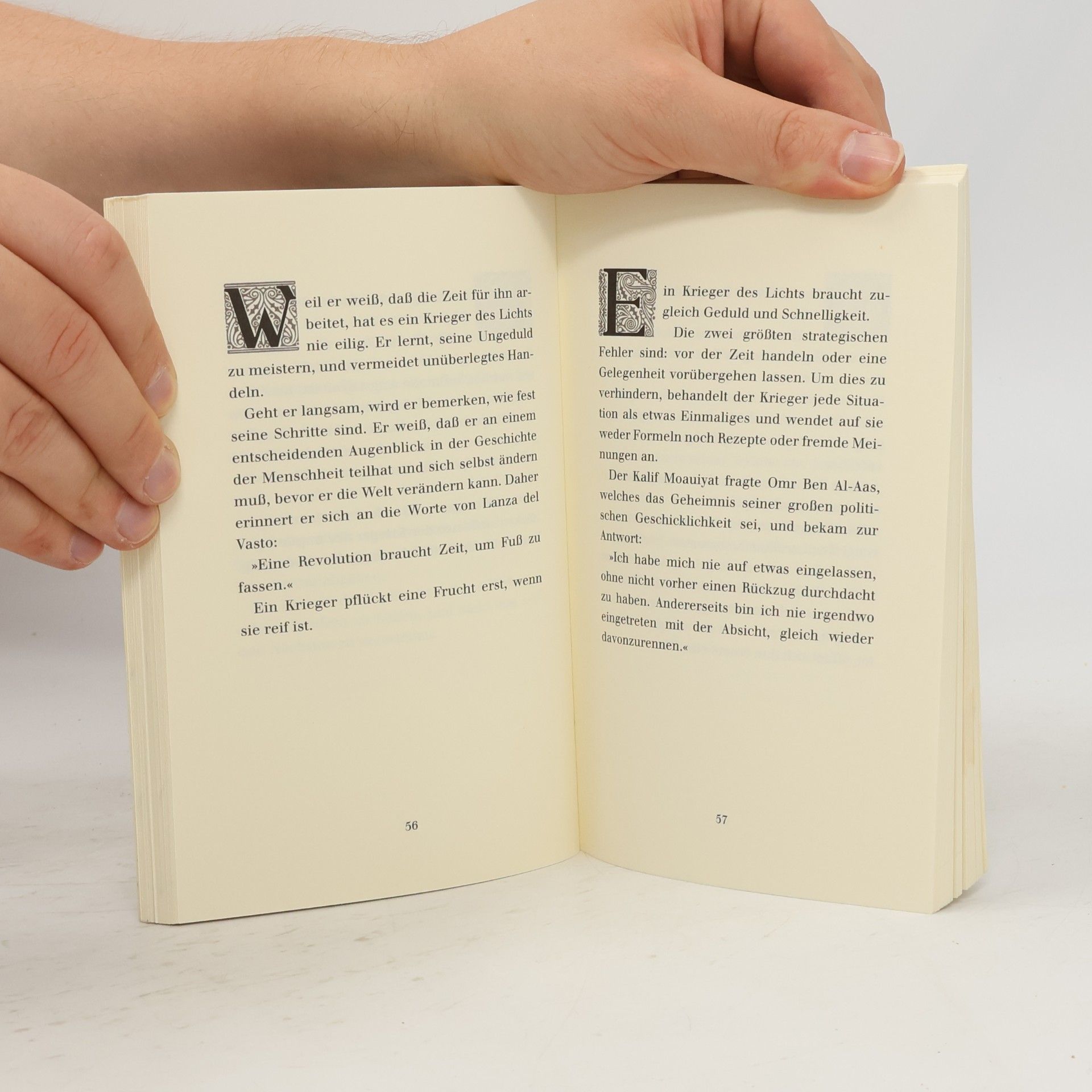 Paulo Coelho Handbuch des Kriegers des Lichts